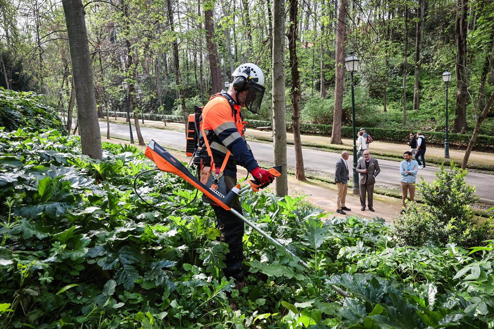La Alhambra cierra los paseos peatonales del Bosque de Gomérez por la alerta de fuertes vientos