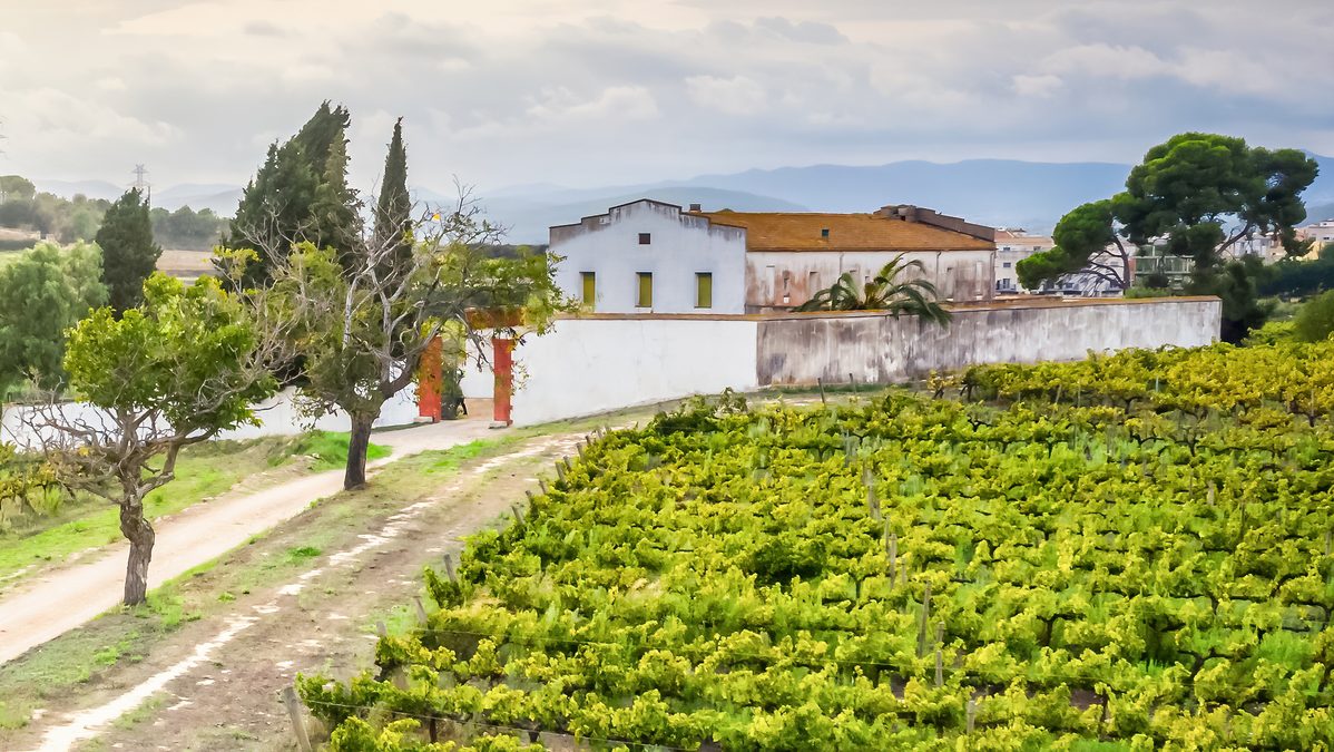 Así son los ‘turistas del vino’ en Cataluña (y cuánto dinero gastan)