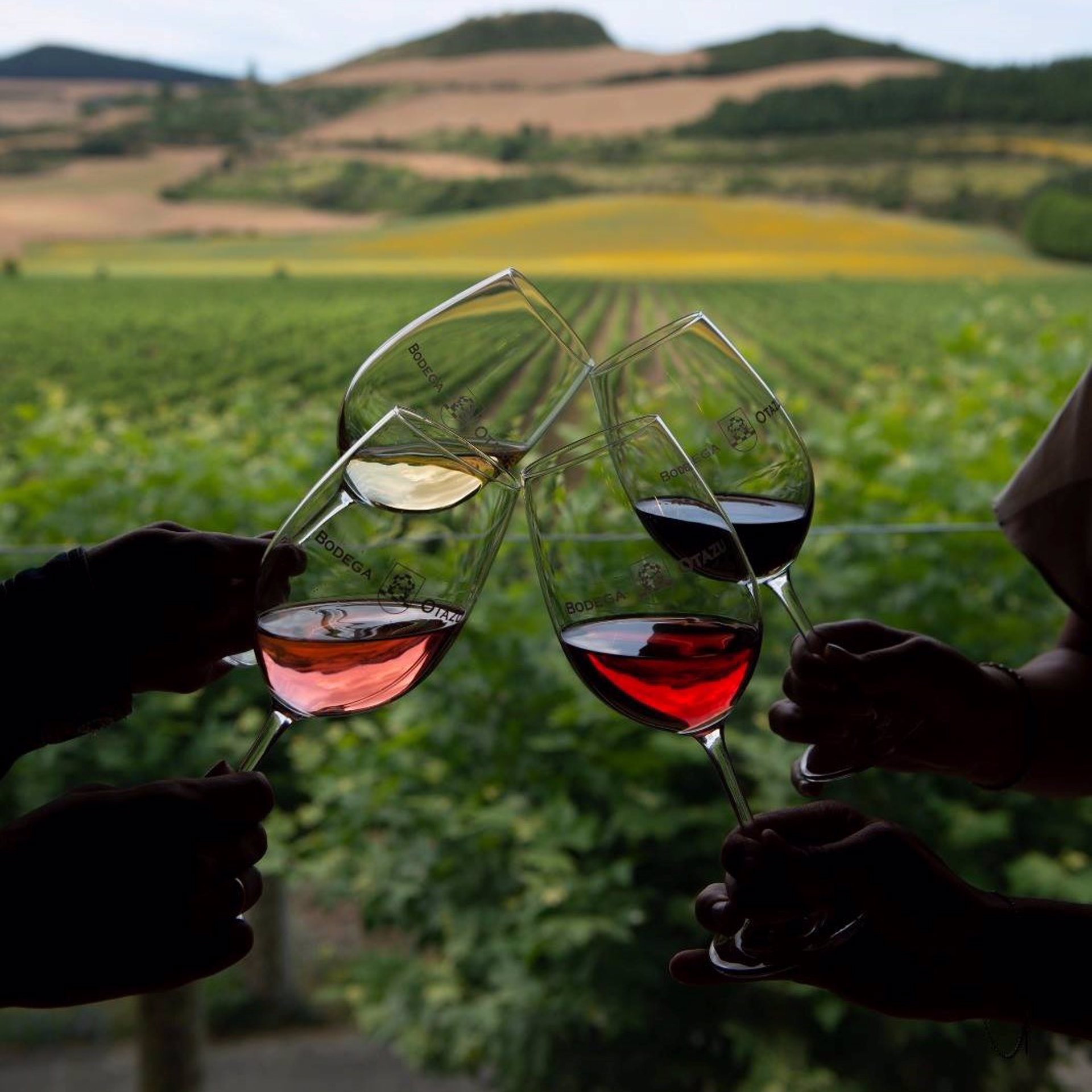 Otazu: el destino perfecto de primavera para los amantes del vino y del arte