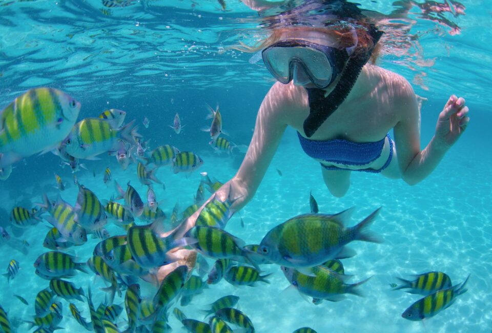 Los Cabos, un tesoro natural que invita a disfrutar de un turismo más sostenible