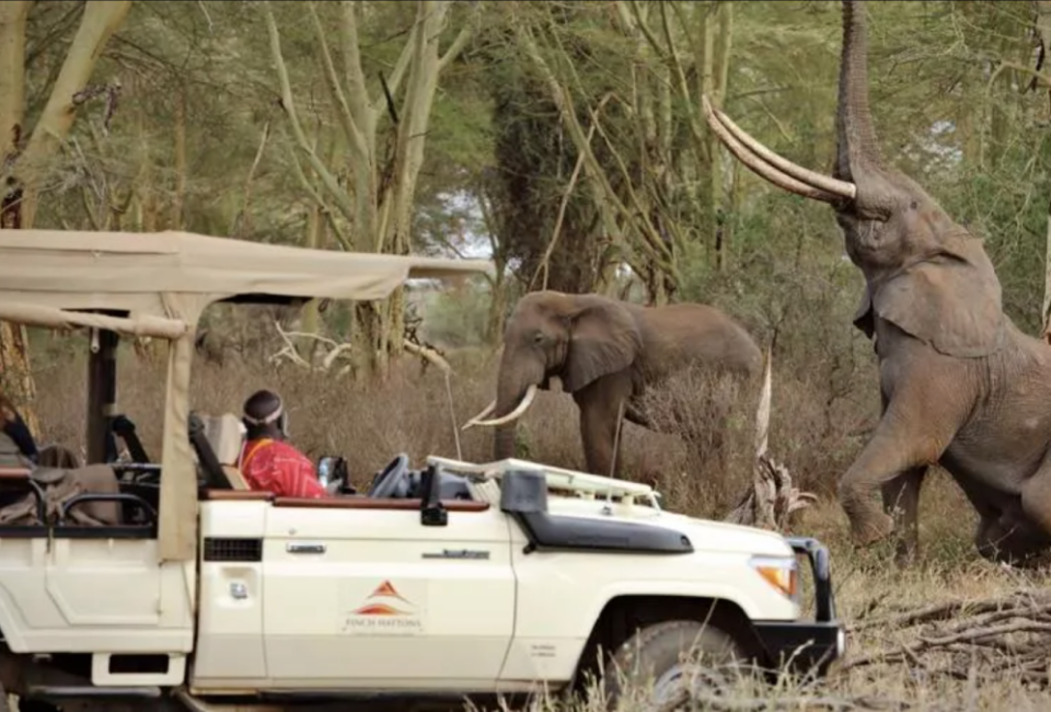 Este es el nuevo y exclusivo safari de Richard Branson en Kenia