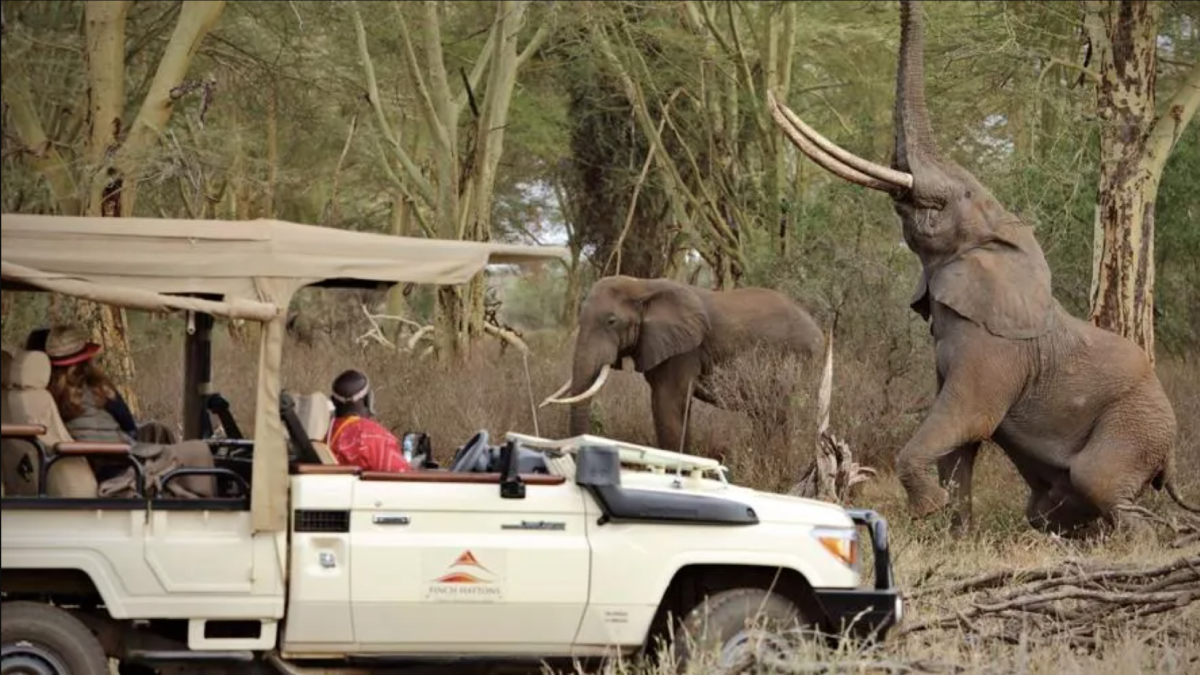 Este es el nuevo y exclusivo safari de Richard Branson en Kenia