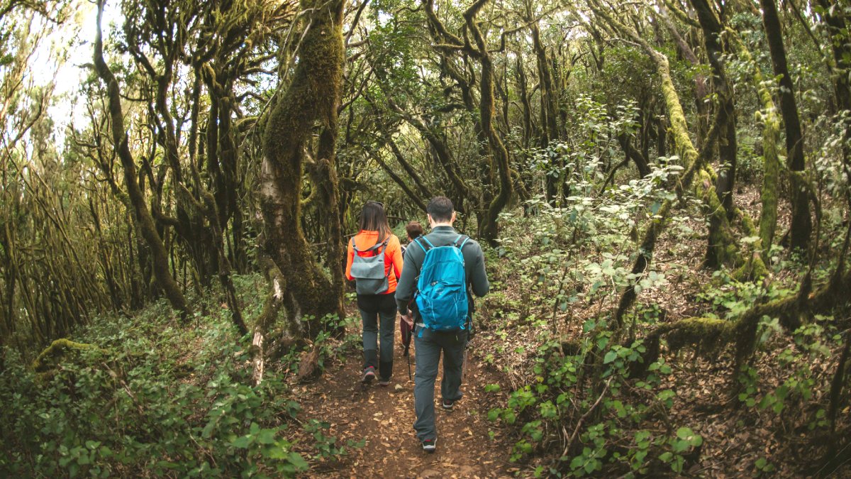 Seis espacios naturales en España en los que vivir unas auténticas vacaciones ecoturistas