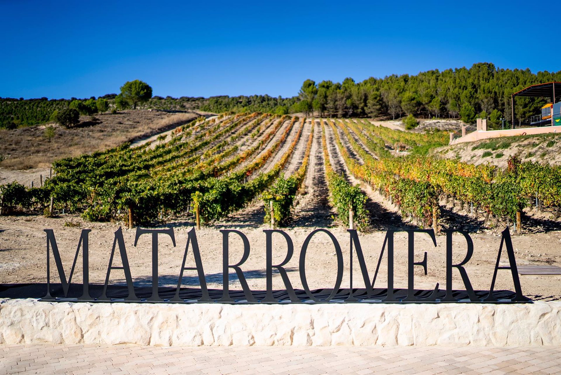 Bodega Matarromera seleccionada por Alltech Crop Science para trabajar en el futuro de agricultura sostenible