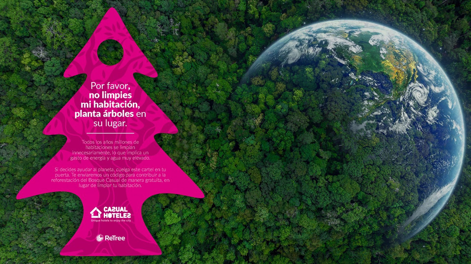 Casual Hoteles lanza una campaña sostenible para reforestar unos antiguos bosques en Teruel