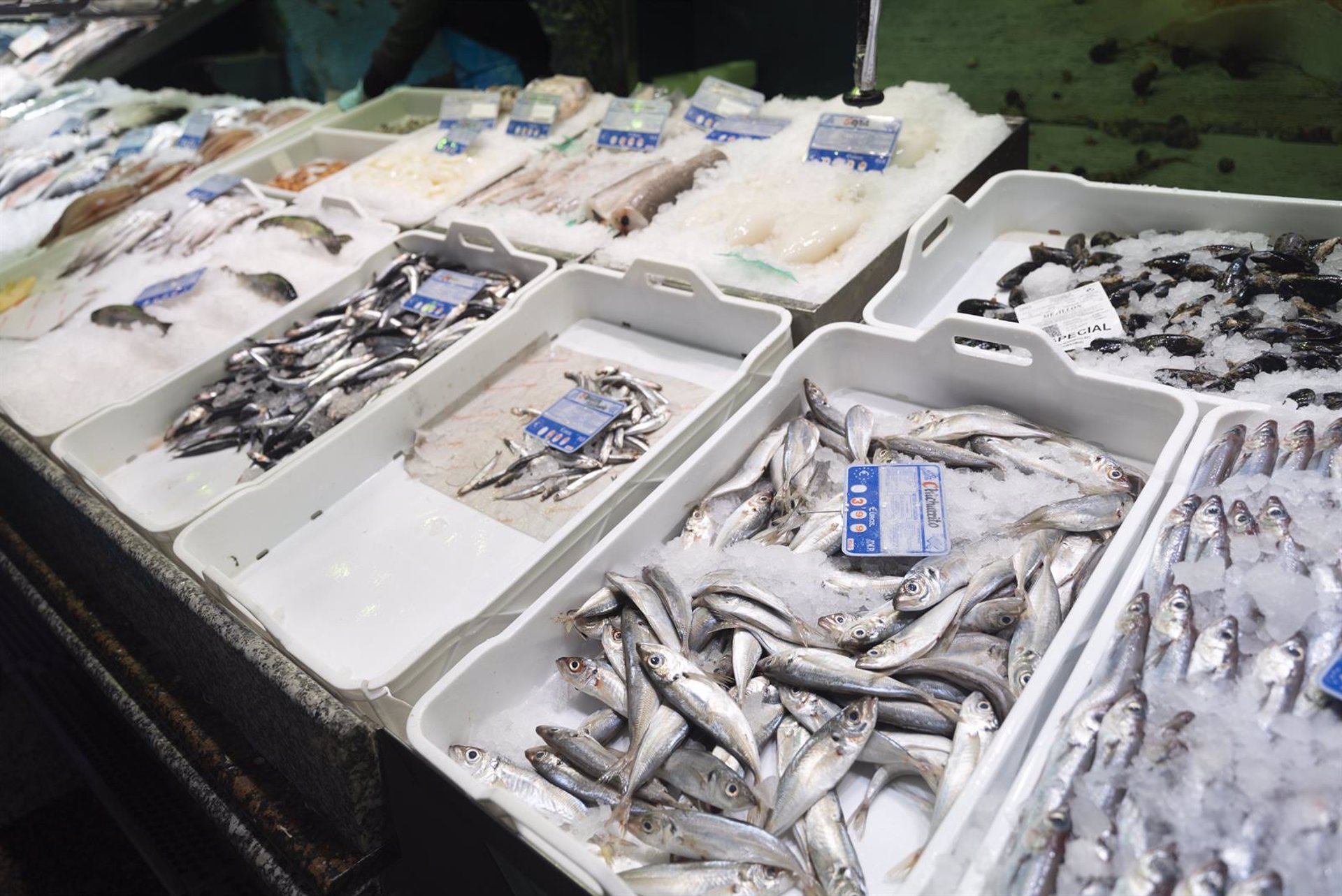 La secretaria general de Pesca anuncia iniciativas de promoción para fomentar el consumo de pescado