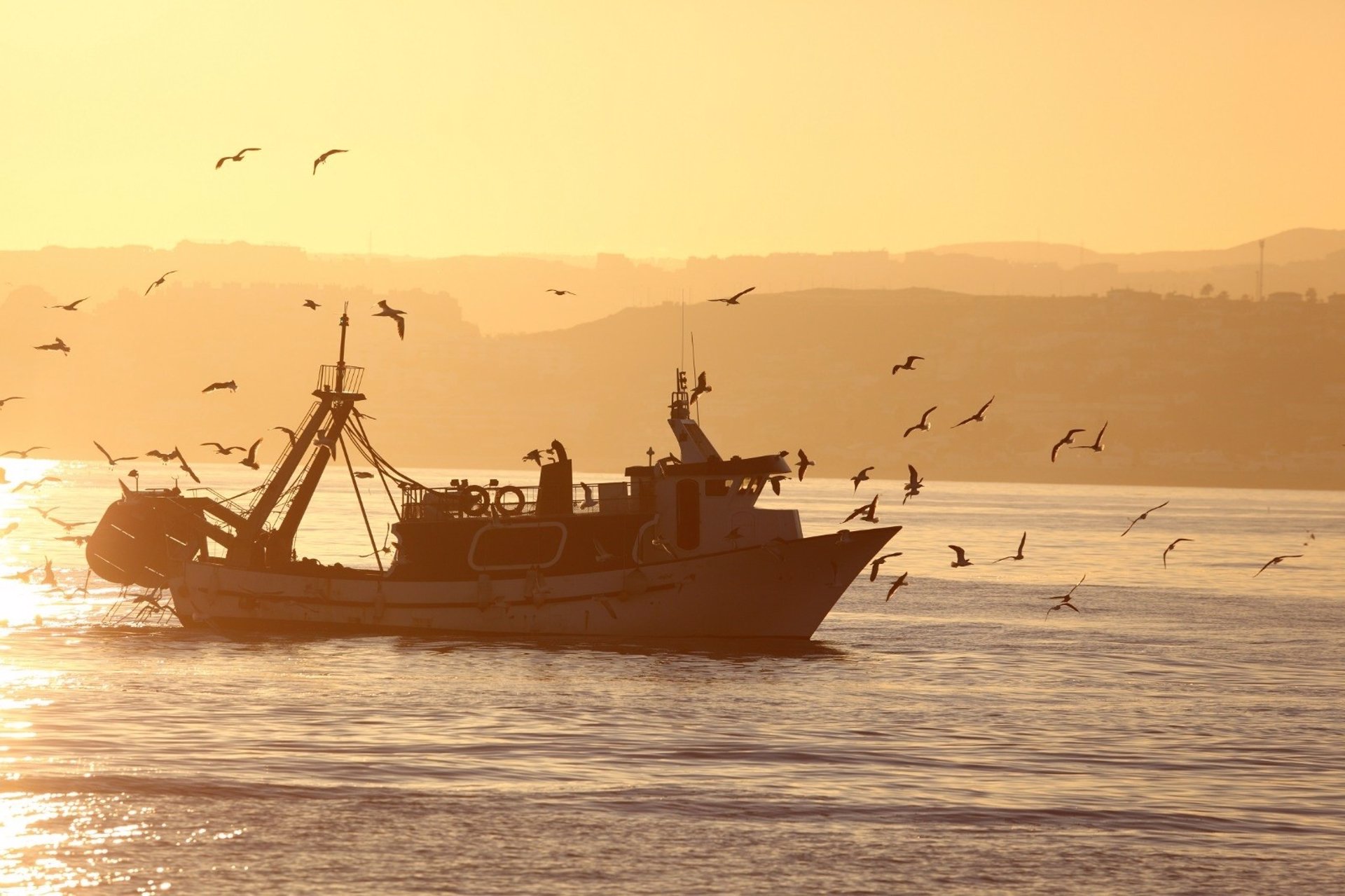 Bruselas amenaza con sancionar a Senegal si no toma medidas contra la pesca ilegal