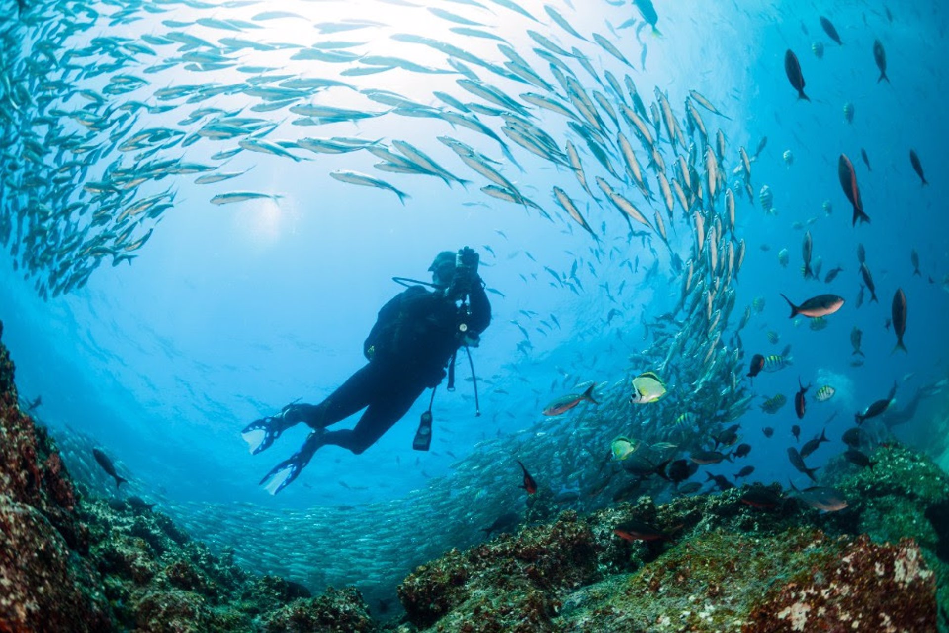 Galápagos, un paraíso de biodiversidad: cómo disfrutar de las islas de manera responsable