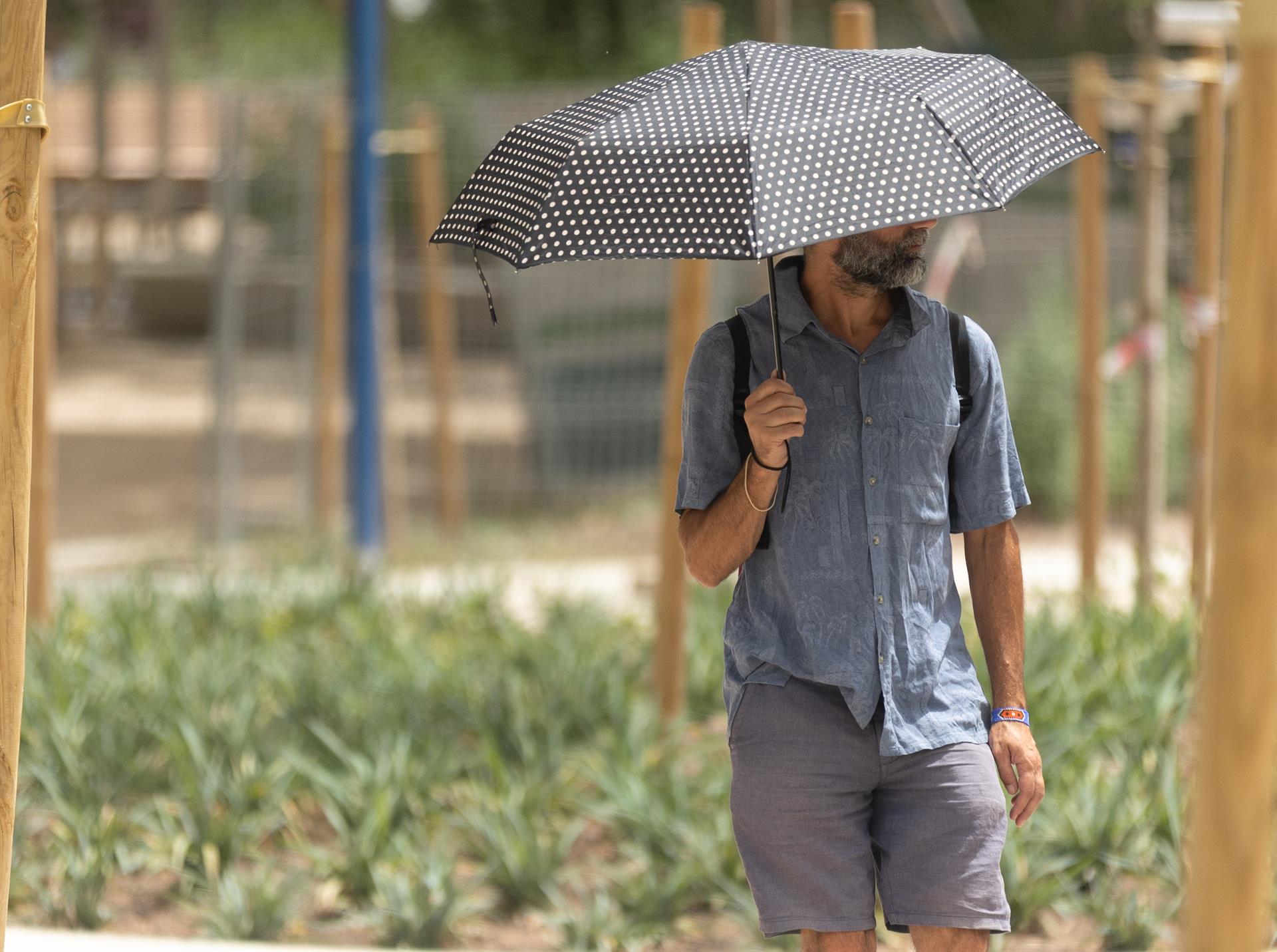 Las máximas subirán hoy y llegarán a los 37ºC en puntos del sur peninsular en un día con lluvias aisladas en montañas