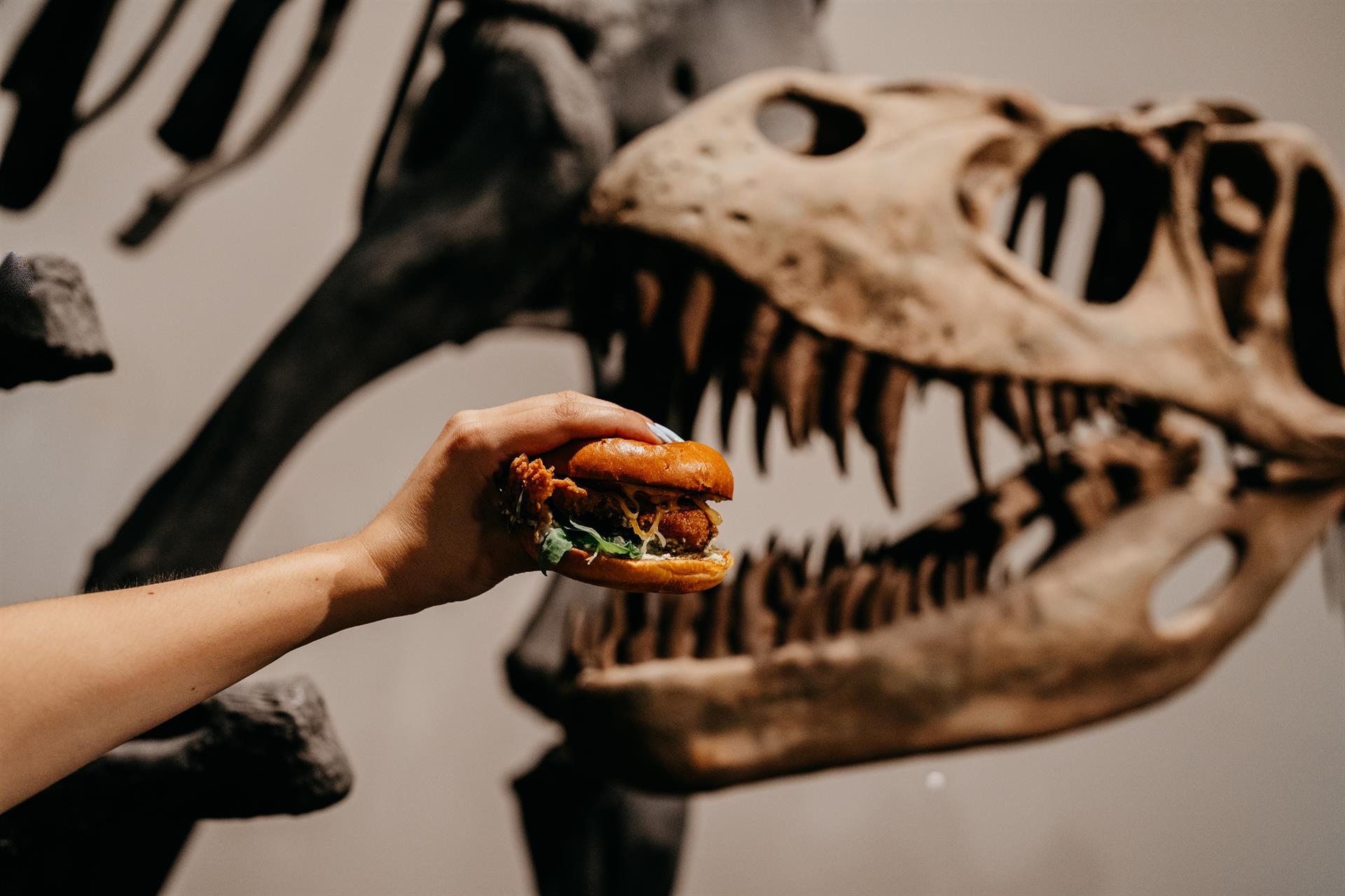 Experiencia para los cinco sentidos en el Museo de Ciencias Naturales de la mano de Foster’s Hollywood