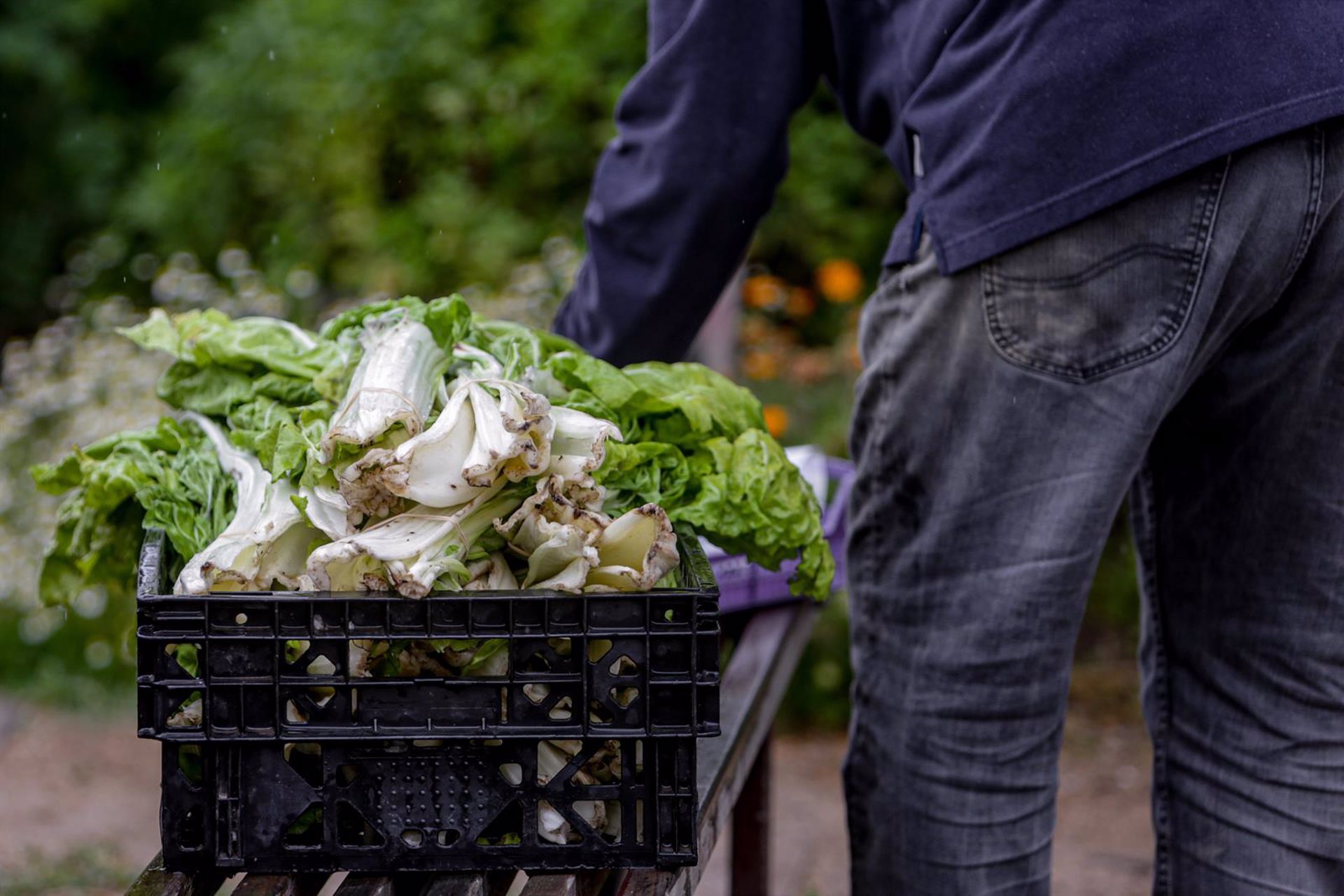 Las exportaciones agroalimentarias de la UE alcanzaron un superávit de 6.700 millones en marzo
