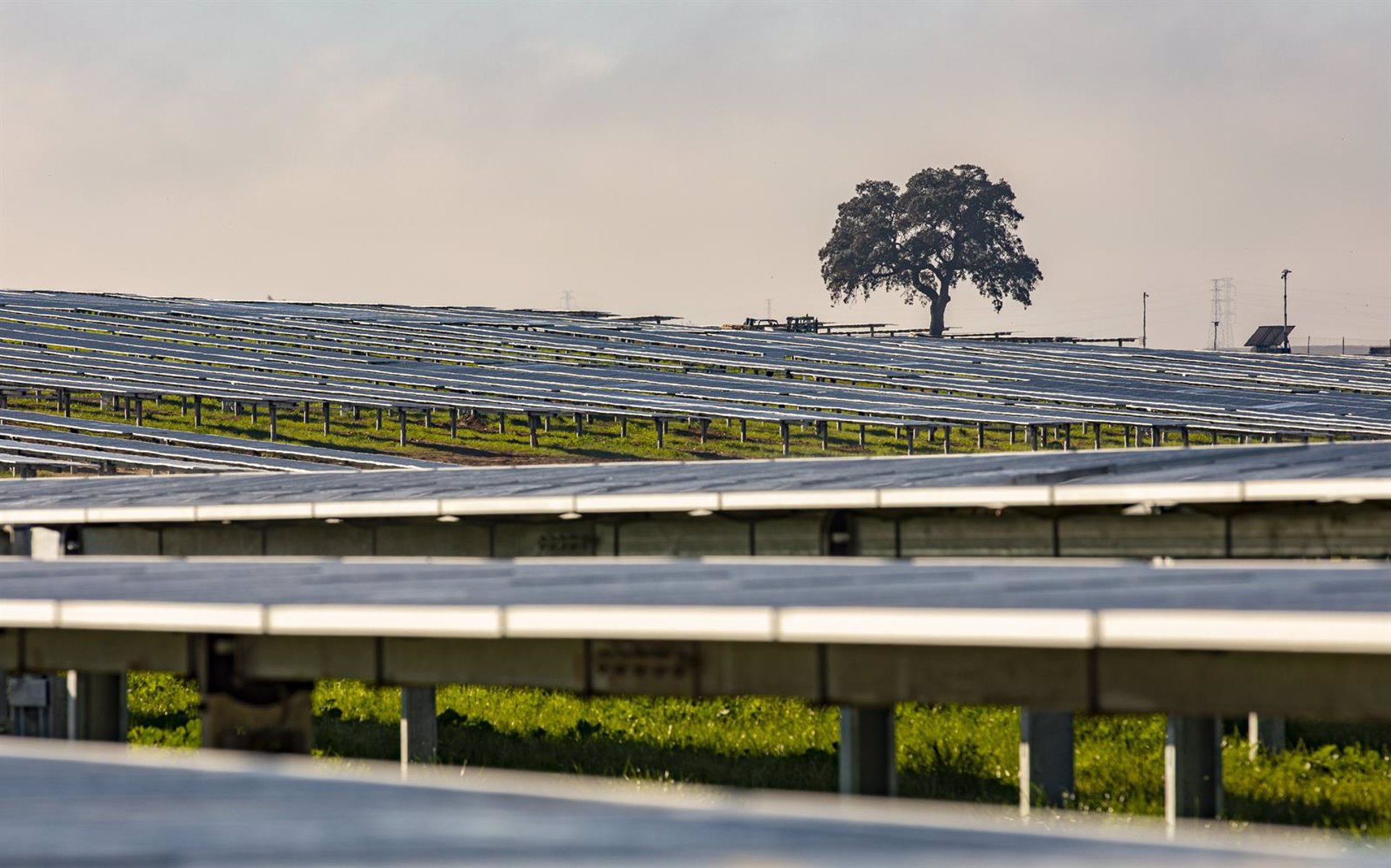 Alter Enersun crea su comercializadora y se convierte en un grupo energético verticalmente integrado