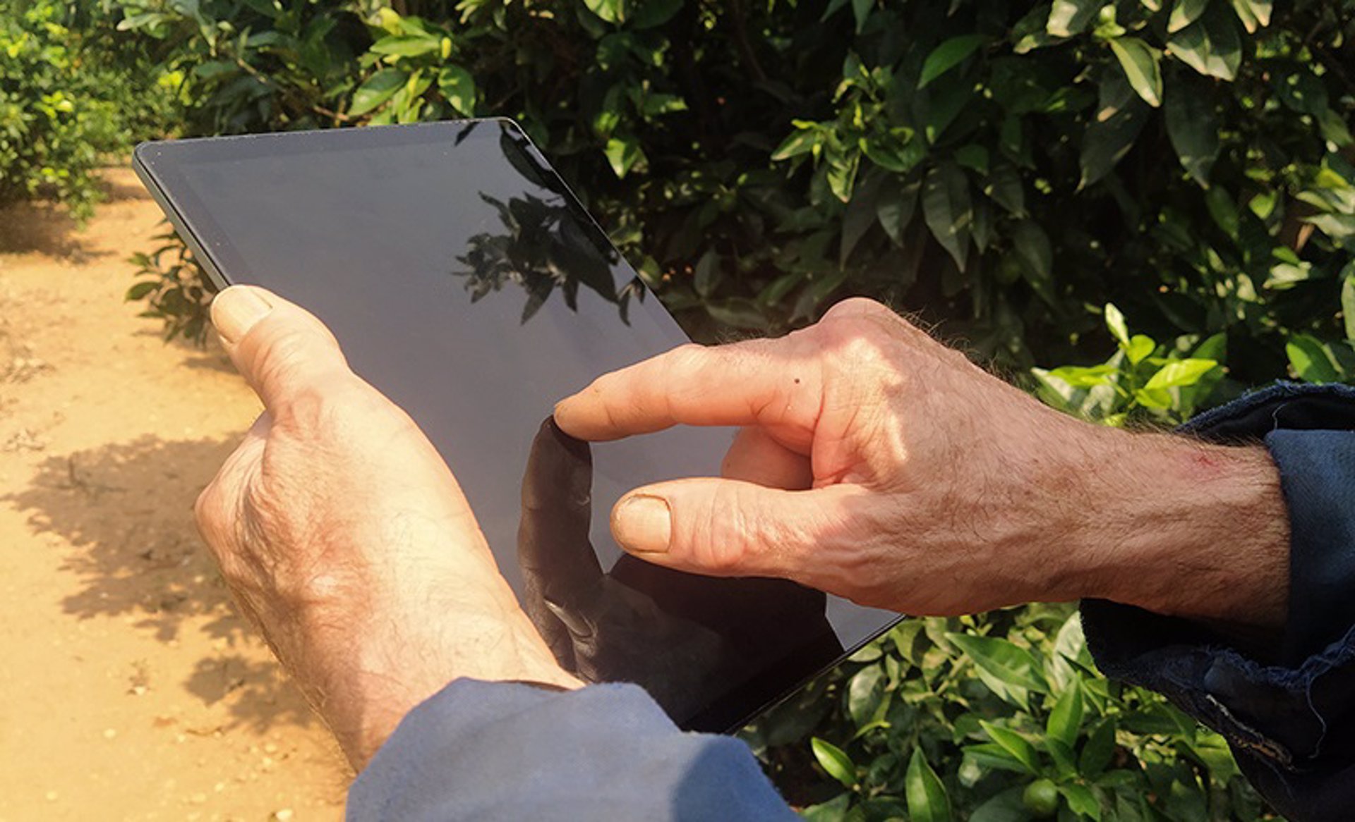 El Gobierno destaca los beneficios para el agricultor del cuaderno digital de explotación