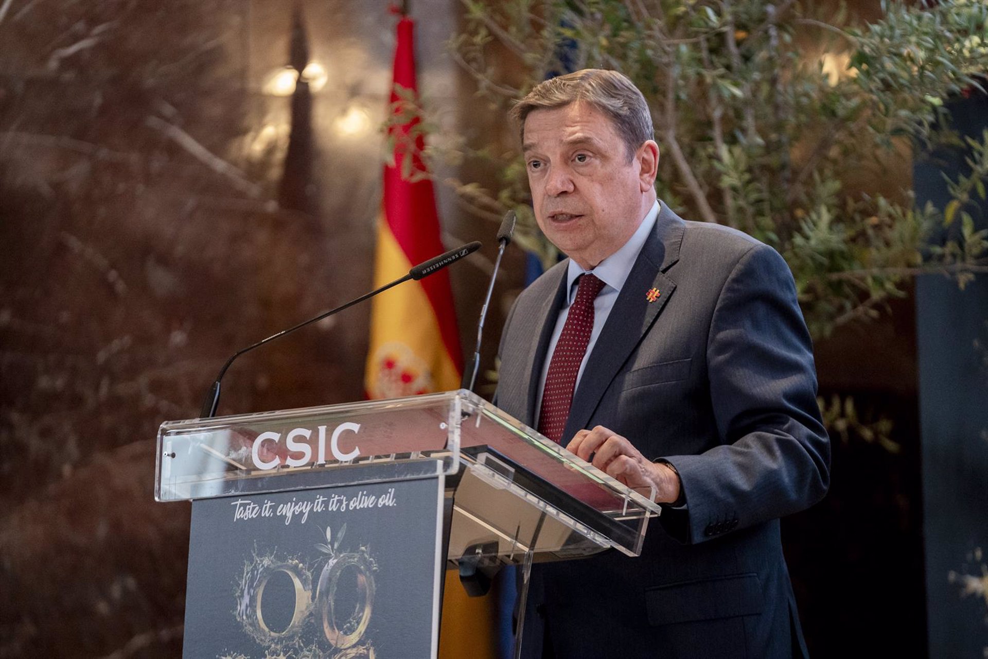 Planas dice que la rebaja de IVA del aceite de oliva es una respuesta a «una vieja reivindicación del sector»