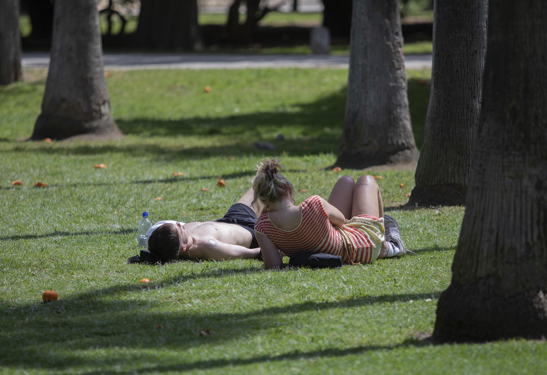 El calor activa hoy los avisos en 4 provincias andaluzas, Albacete y Murcia, con valores cercanos a los 40 grados
