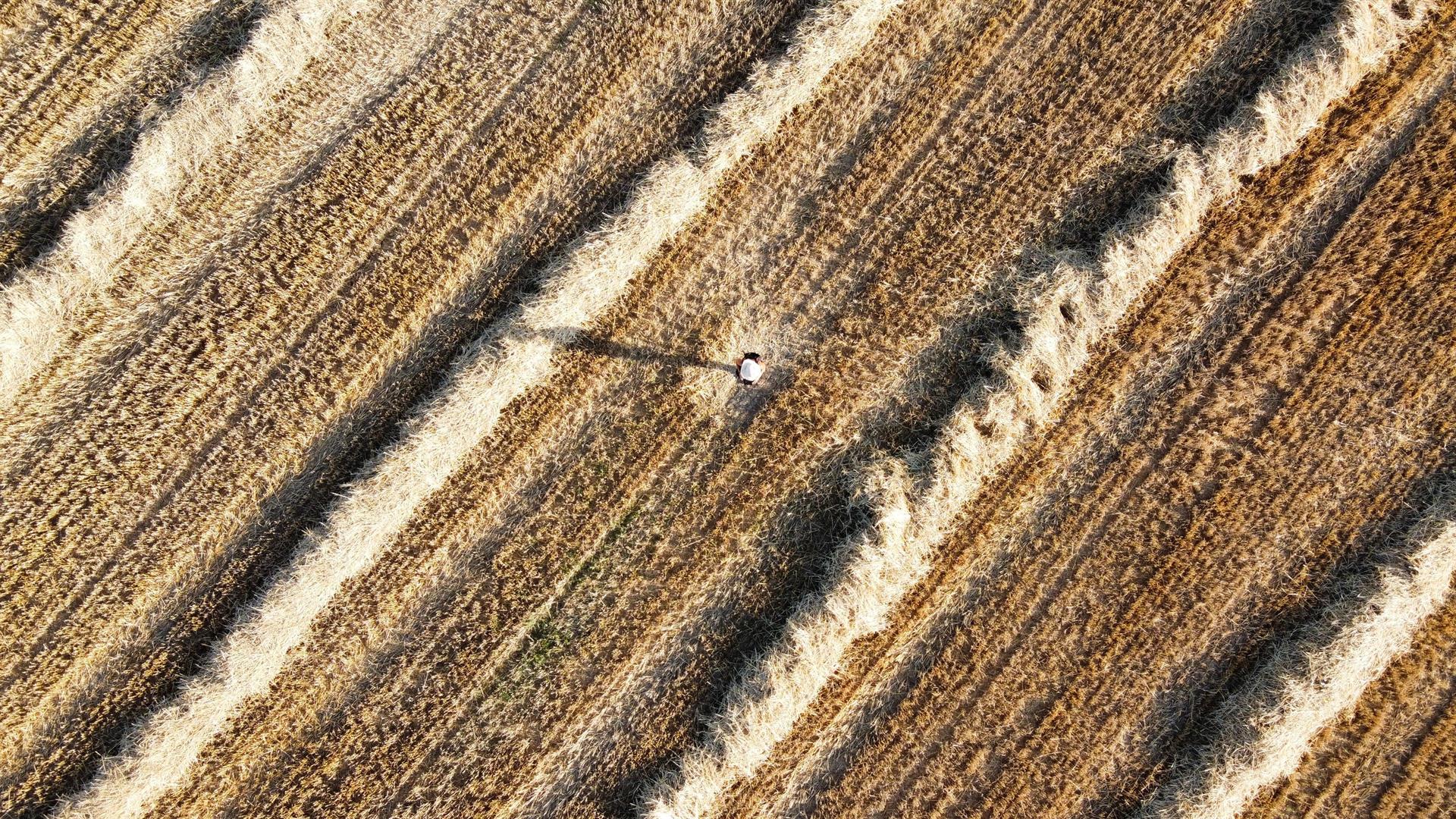 Fundación ENAIRE celebrará en las Naves de Gamazo de Santander el encuentro PHotoESPAÑA para descubrir nuevos talentos