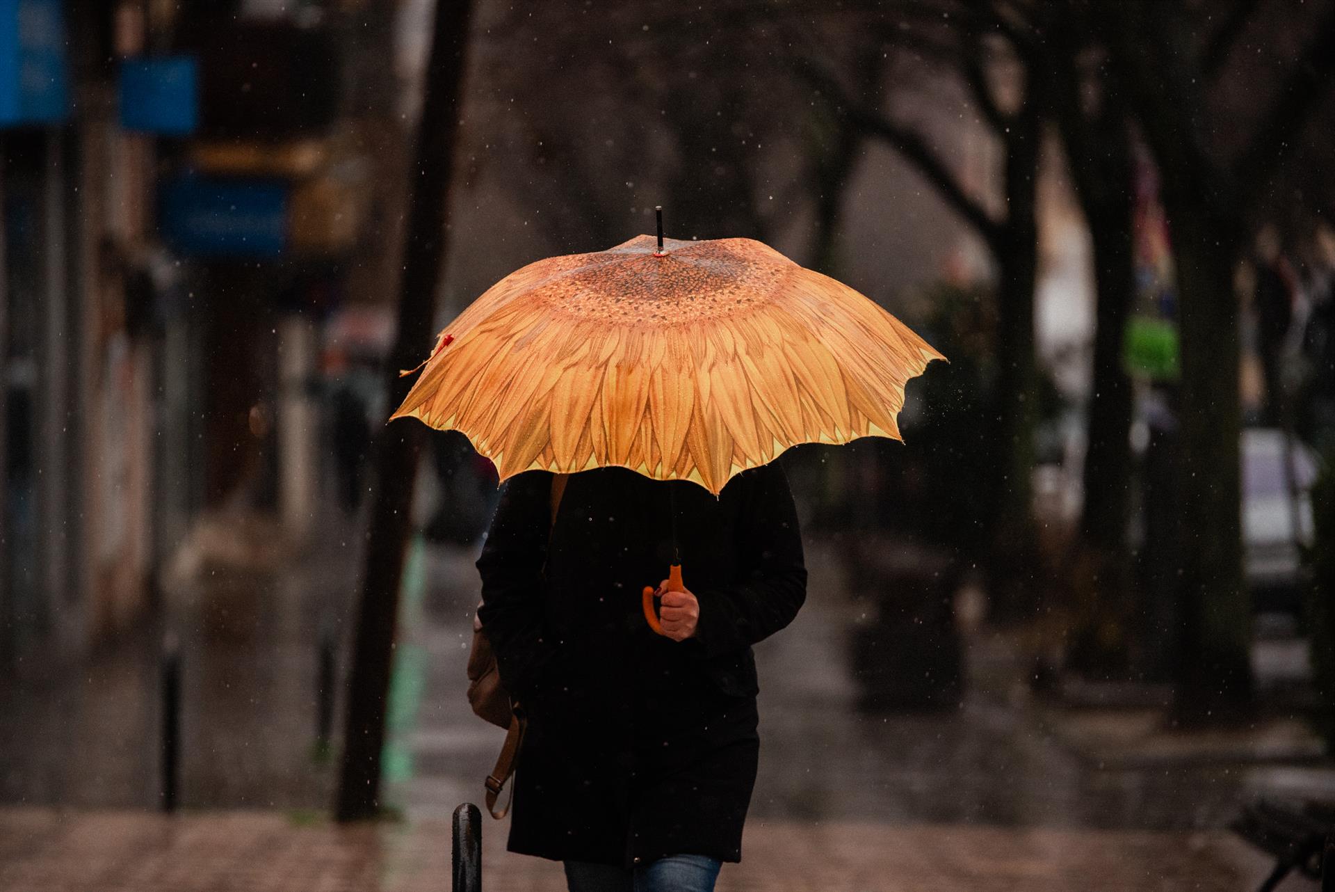 Un total de 28 provincias estarán mañana en aviso por tormentas y lluvias, con avisos naranja en cuatro CCAA