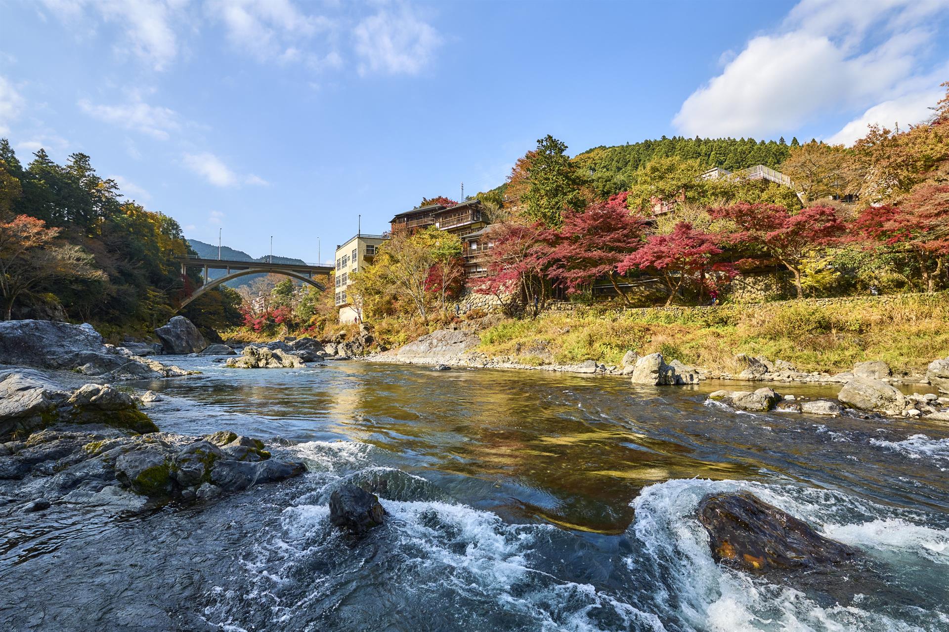 Tokio en otoño: paisajes y festivales para celebrar el espectáculo de la naturaleza