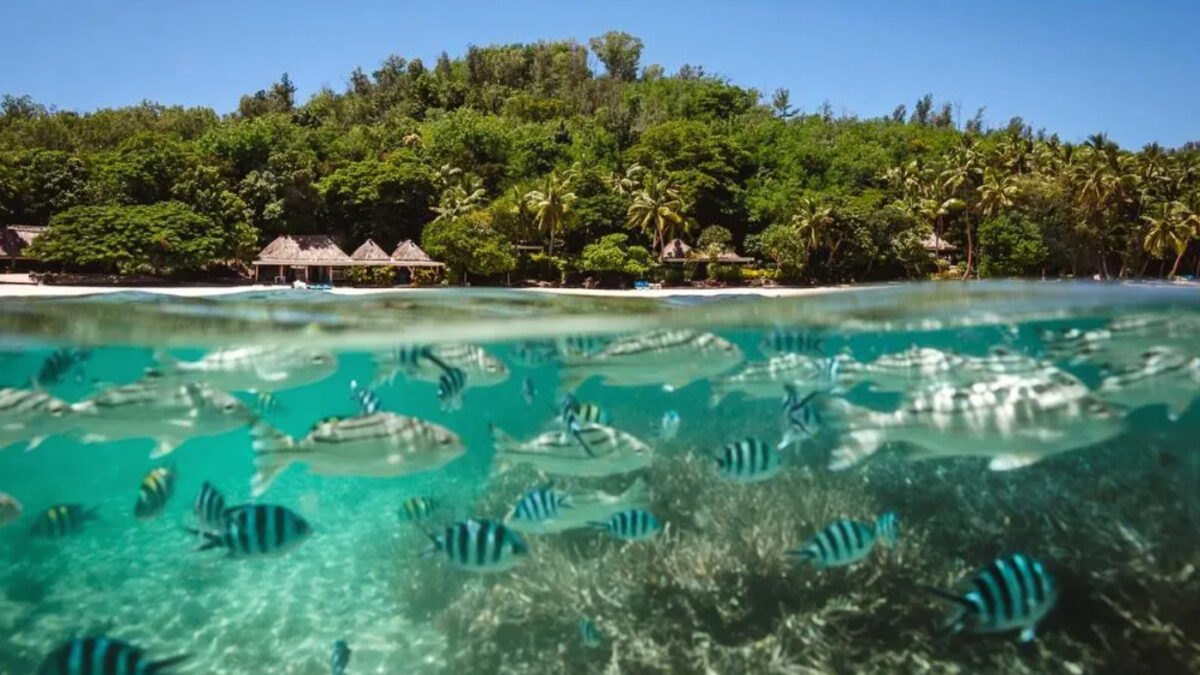 Cómo la nueva generación de Fiji redefine el lujo ecológico