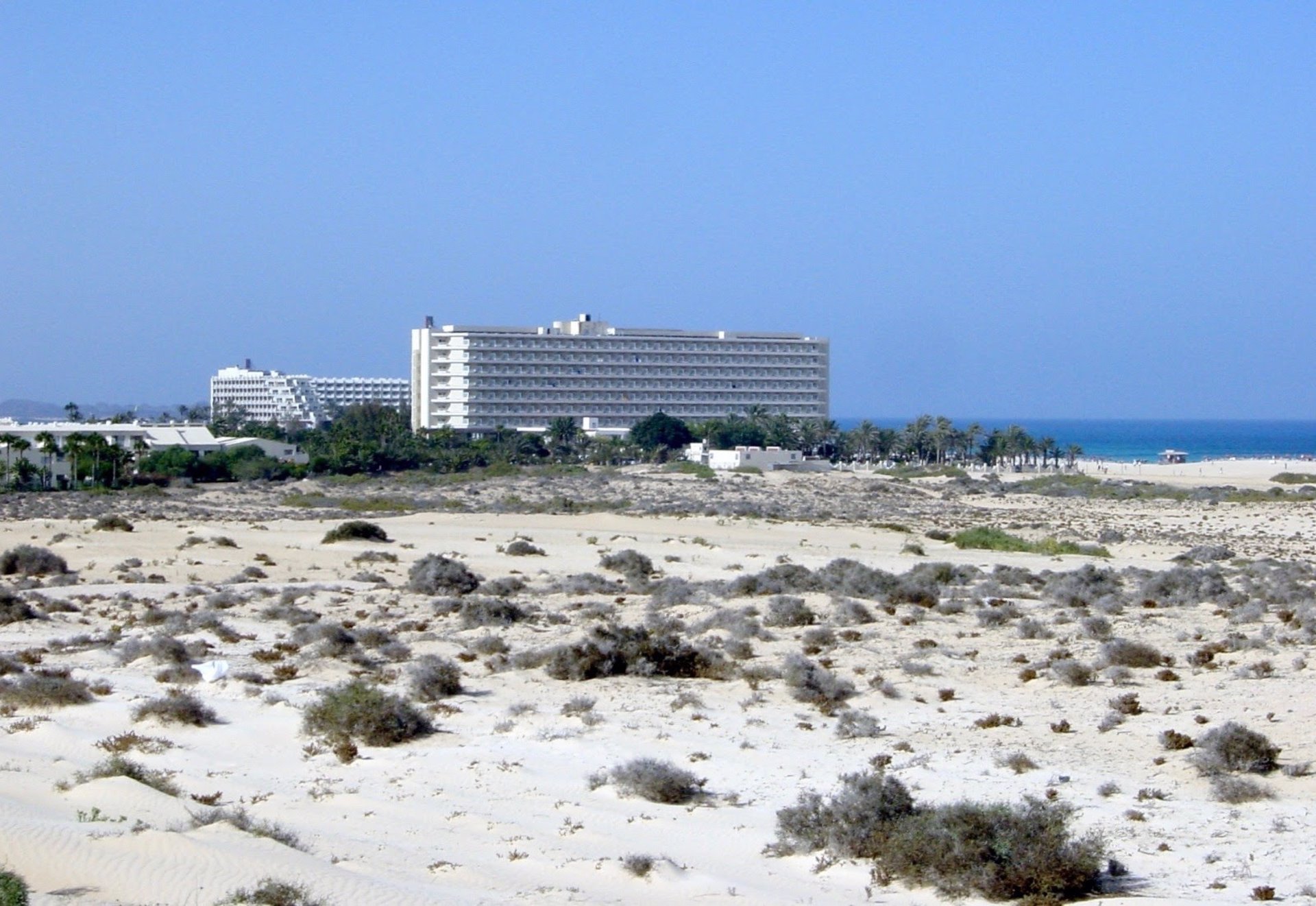 SEO/BirdLife dice que el camino «queda despejado» para derribar el Oliva Beach de Fuerteventura, que genera deterioro