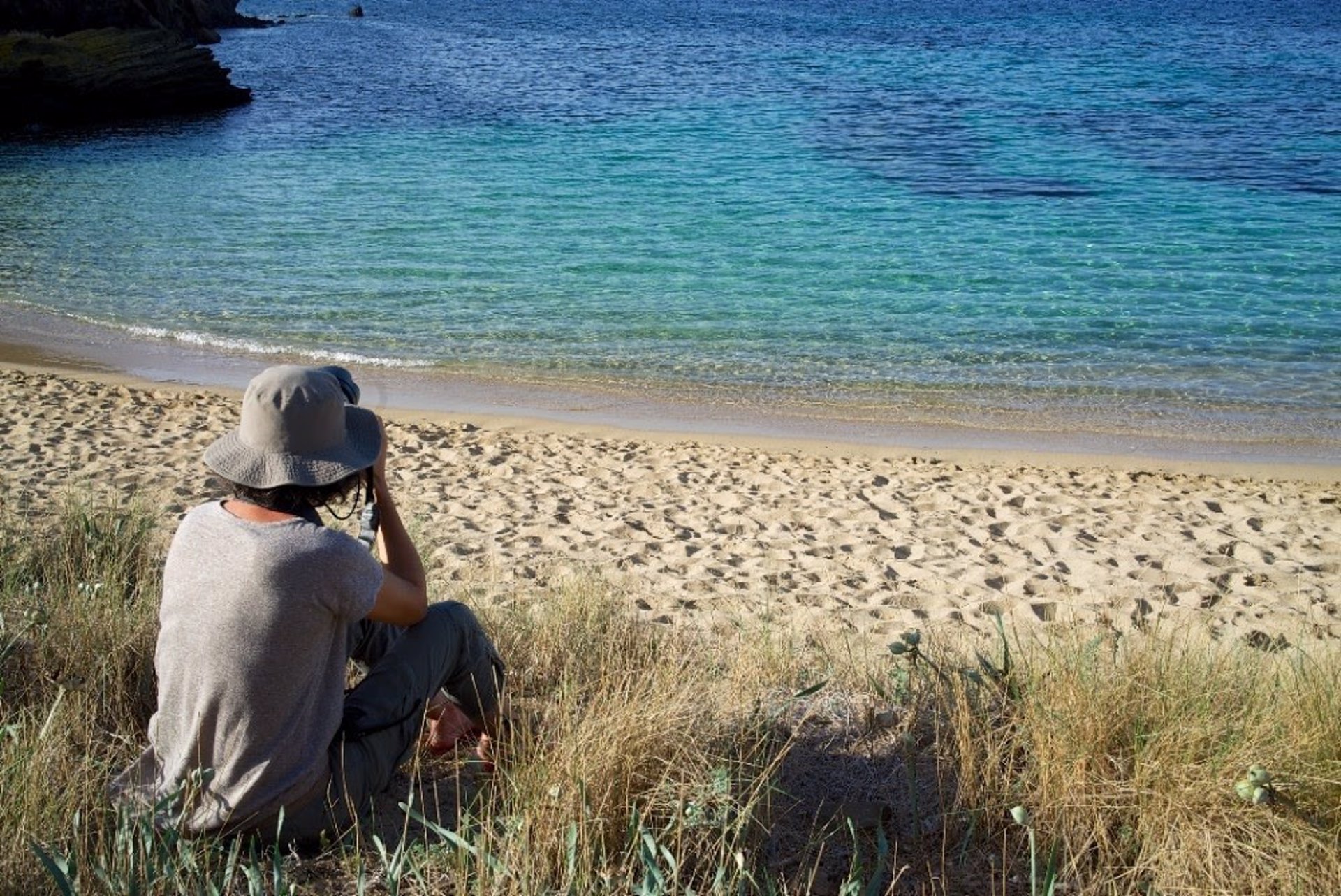 Un viaje ornitológico por las Islas Baleares: descubriendo su biodiversidad al ritmo de las aves migratorias