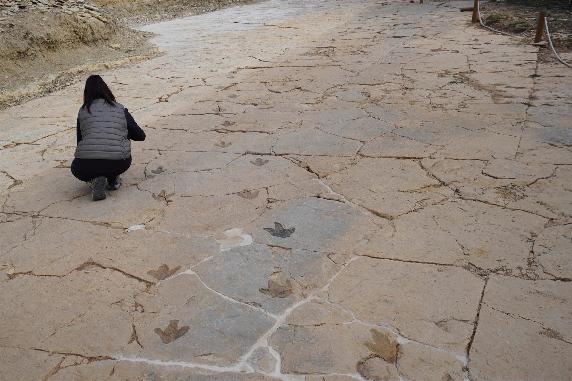 Fundación Dinópolis descubre nuevas huellas de dinosaurios carnívoros en el yacimiento de Mosqueruela (Teruel)