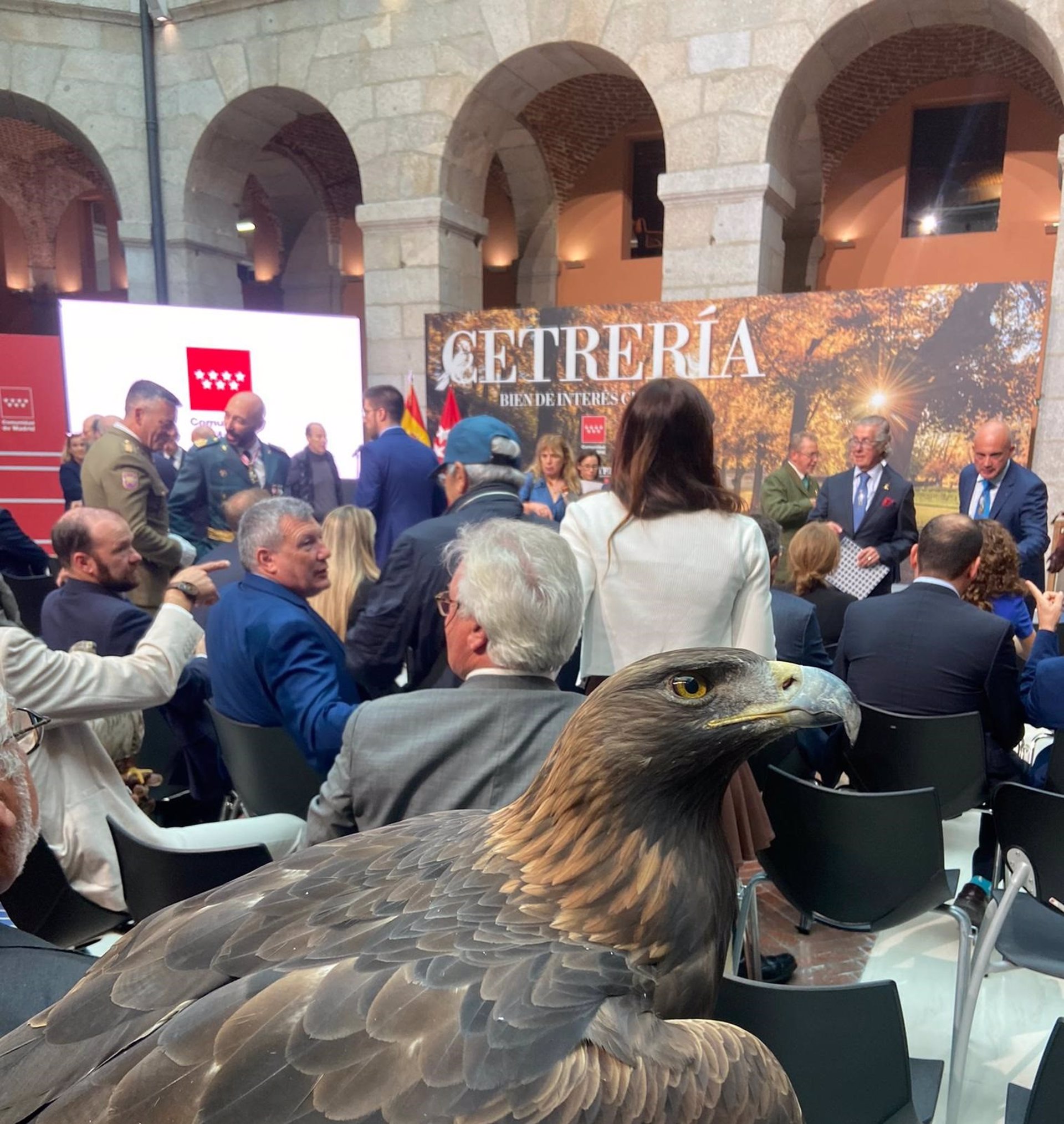 La Real Casa de Correos de Madrid se llena de aves para celebrar que la cetrería es Bien de Interés Cultural