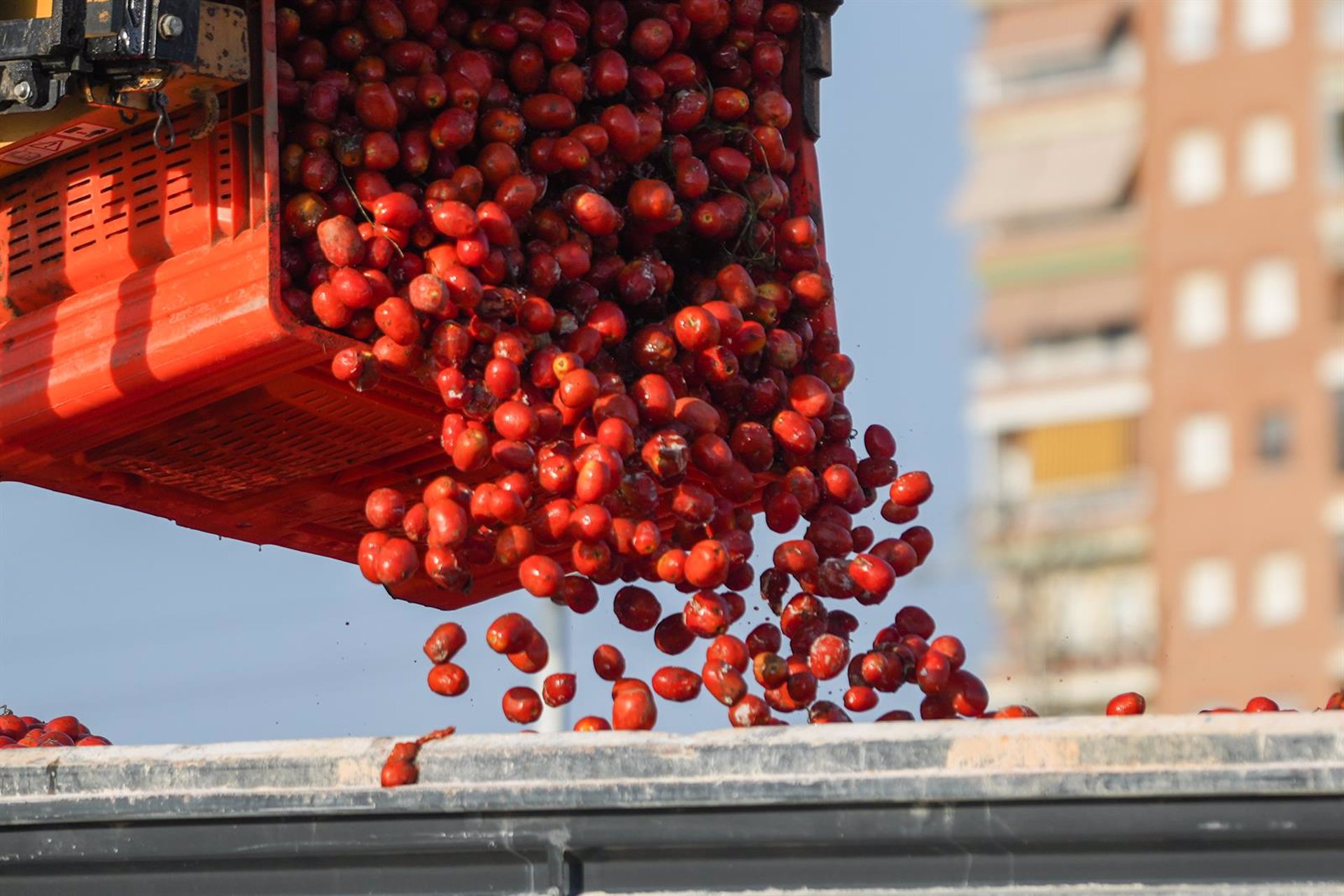 Gobierno valora la mejora de eficiencia en control fronterizo de alimentos con la nueva organización unificada