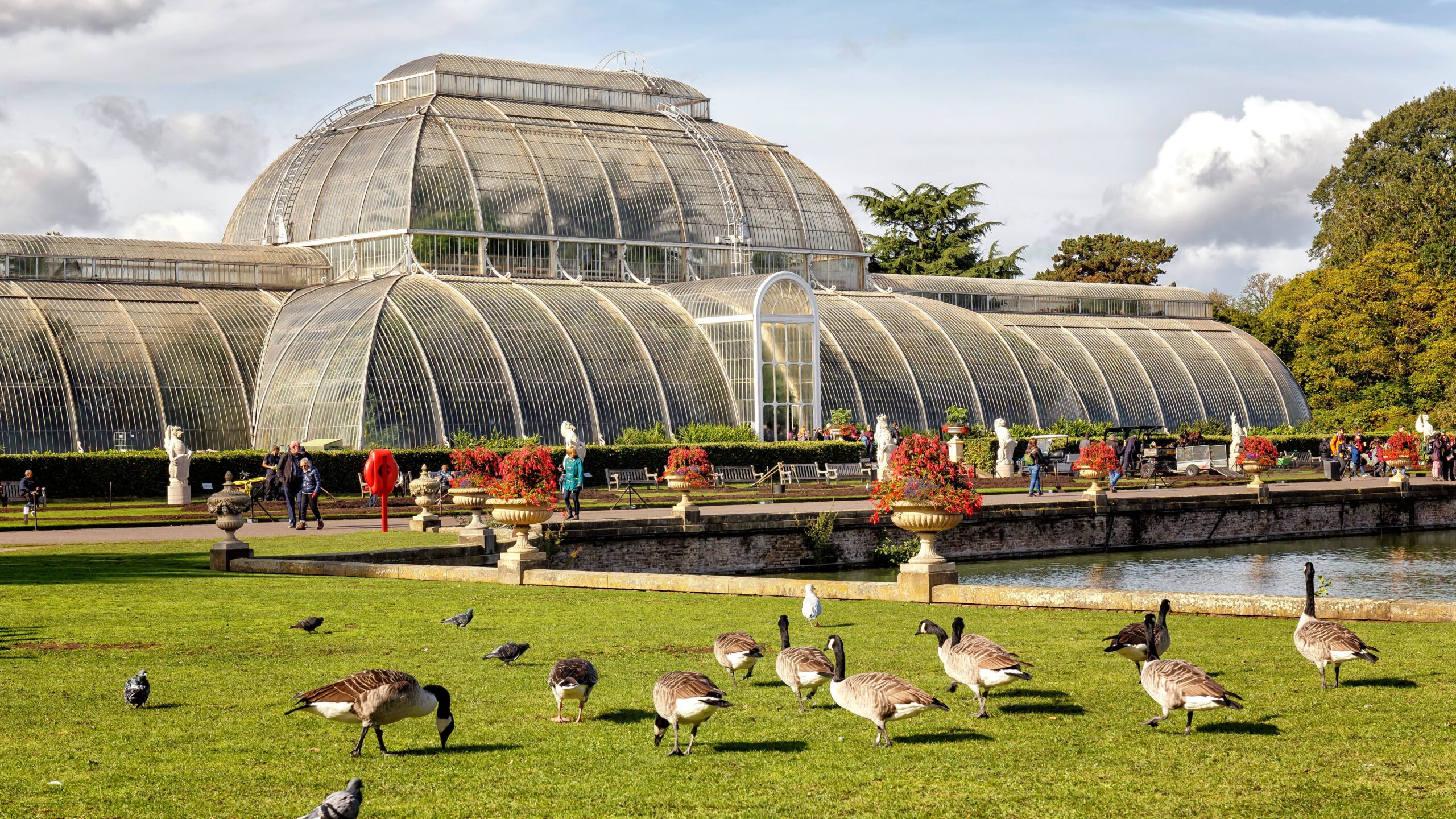 A tientas en el invernadero de los Kew Gardens