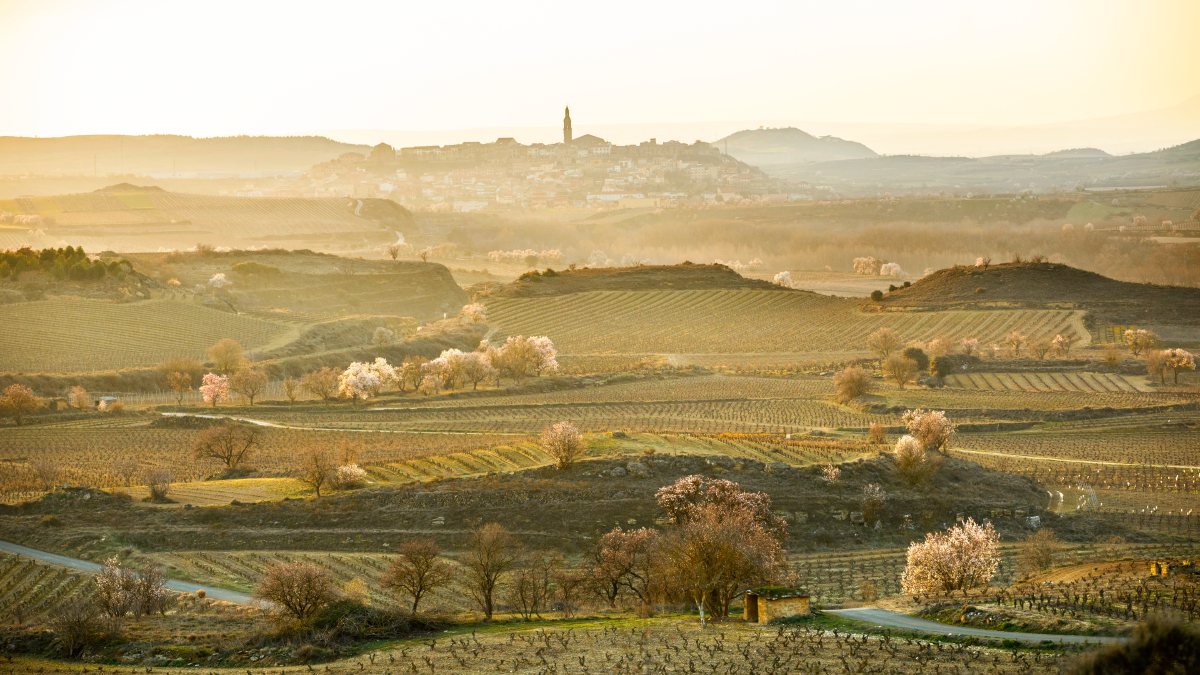 Cinco escapadas únicas a Rioja