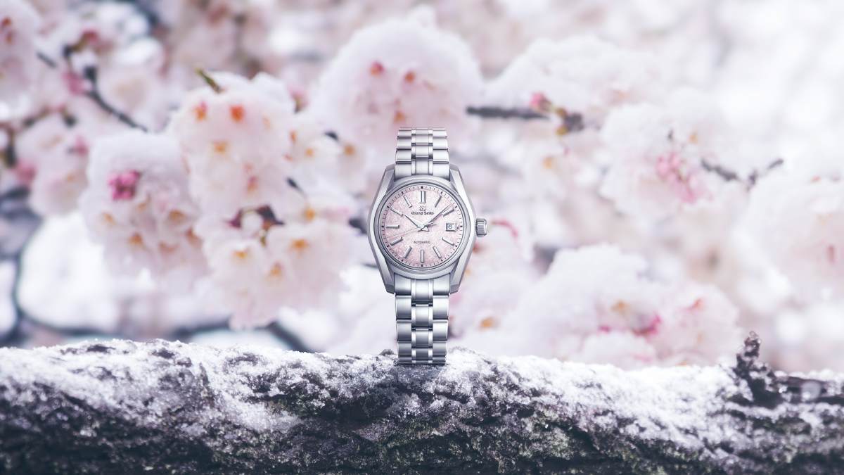 El rosa se prepara para florecer en primavera, también en los relojes