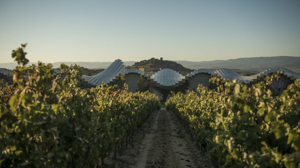 Ysios Selección 2019, la nueva añada afrutada que conquistará a los ‘wine lovers’