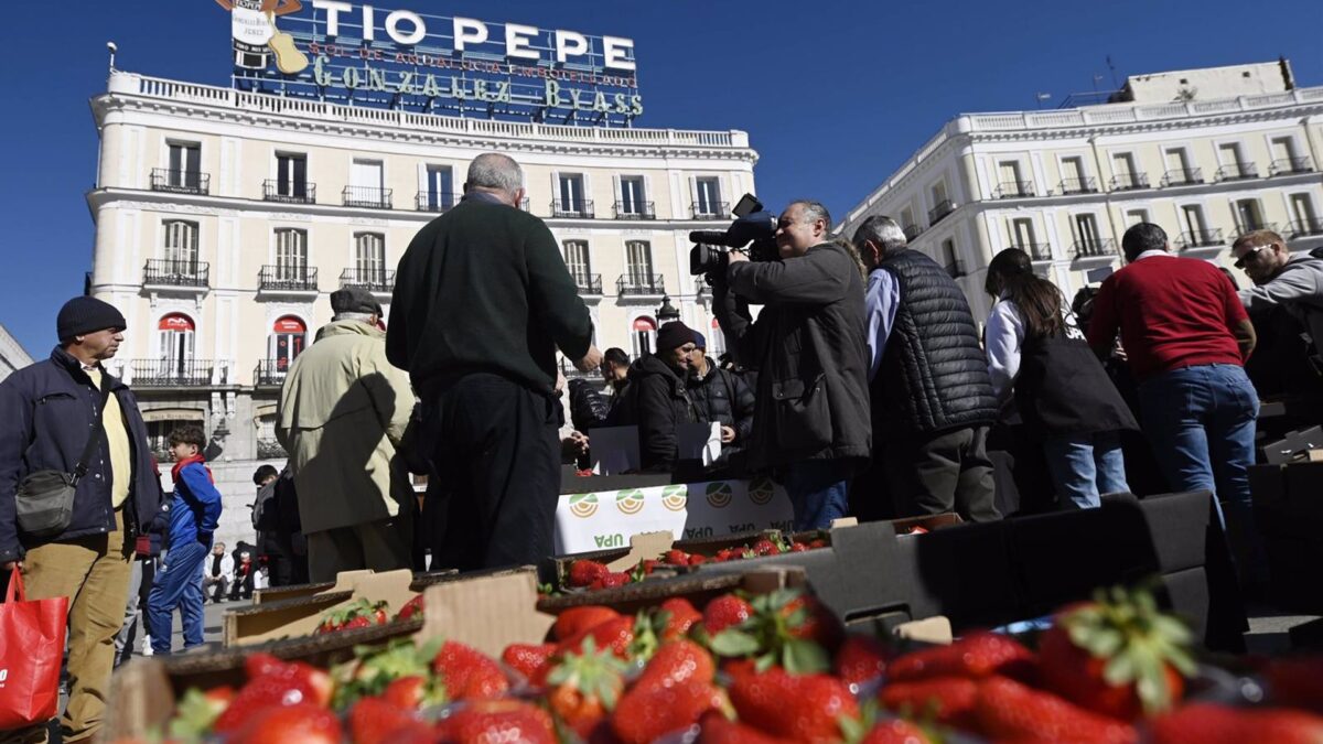 UPA repartirá fresas de Huelva este jueves en Madrid para promover su consumo