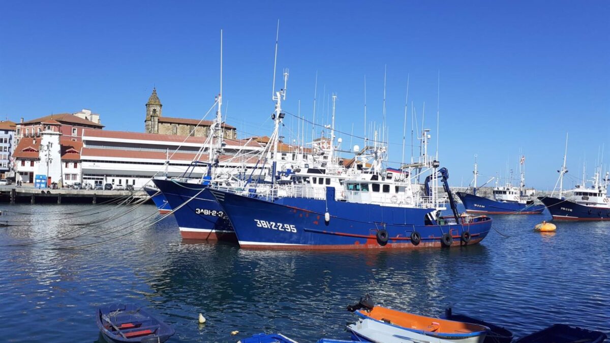 El Gobierno abre la pesquería de caballa para buques distintos al arrastre y al cerco en Cantabria y A Coruña