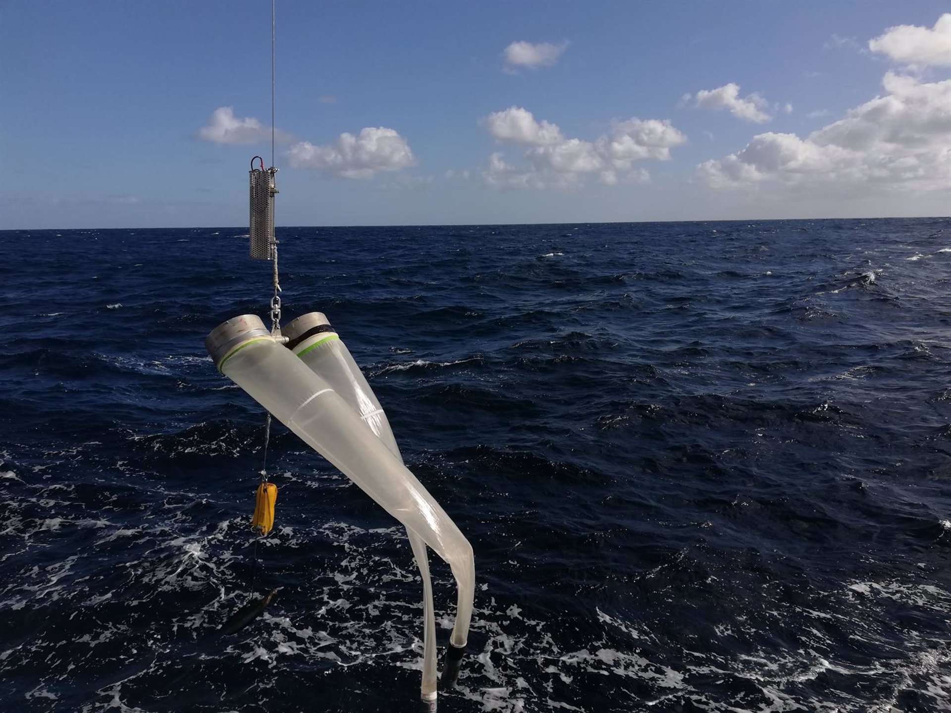 El IEO evalúa la población de verdel en el Cantábrico y Golfo de Vizcaya