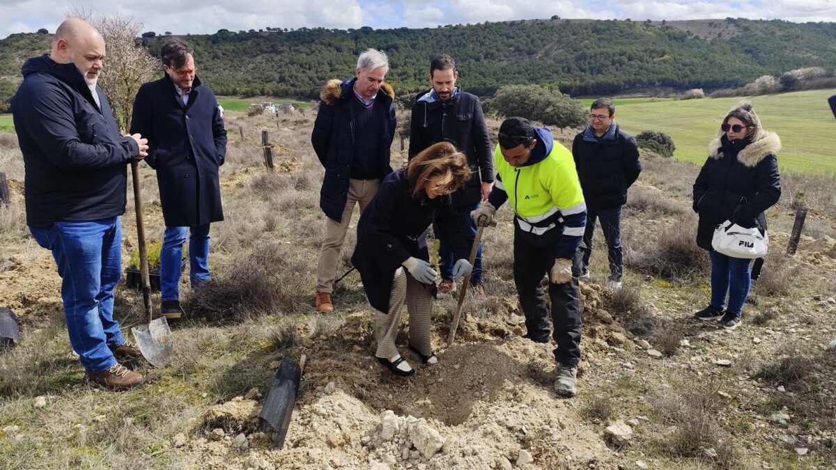 Dueñas (Palencia) acoge el primer bosque de Paradores con la plantación de 4.700 especies en casi cuatro hectáreas