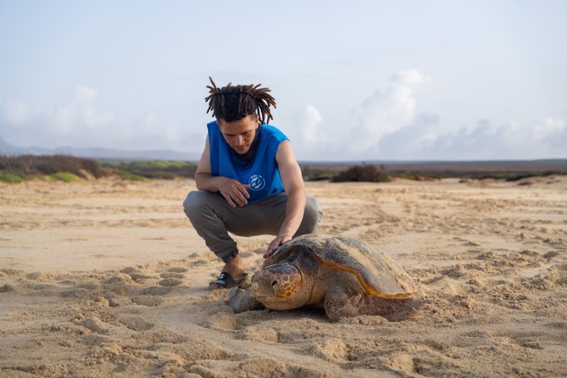 Cabo Verde registra más de 150.000 nacimientos de tortuga ‘boba’ en Sal y Boa Vista durante la temporada de anidación