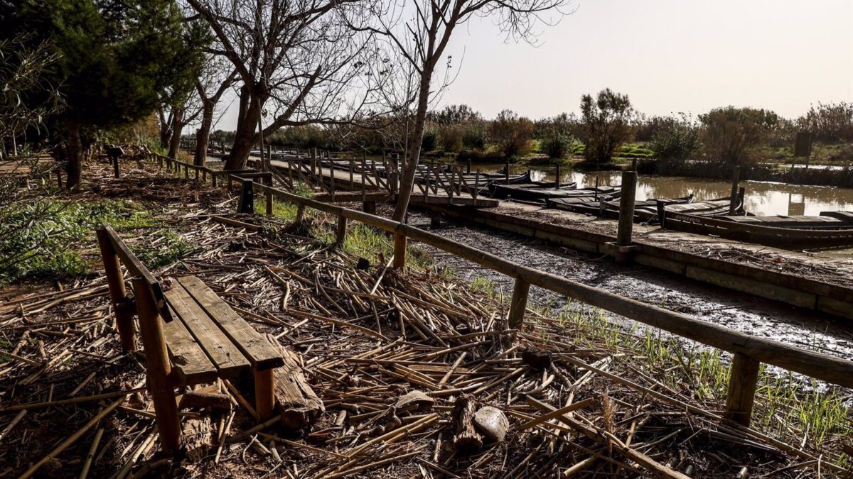 El Gobierno destinará casi 400.000 euros a 107 arroceros que no pueden cultivar por la Dana