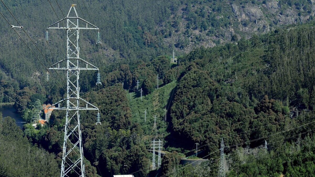 Restablecido el 61,35% de la demanda a las 00.00 horas, según Red Eléctrica
