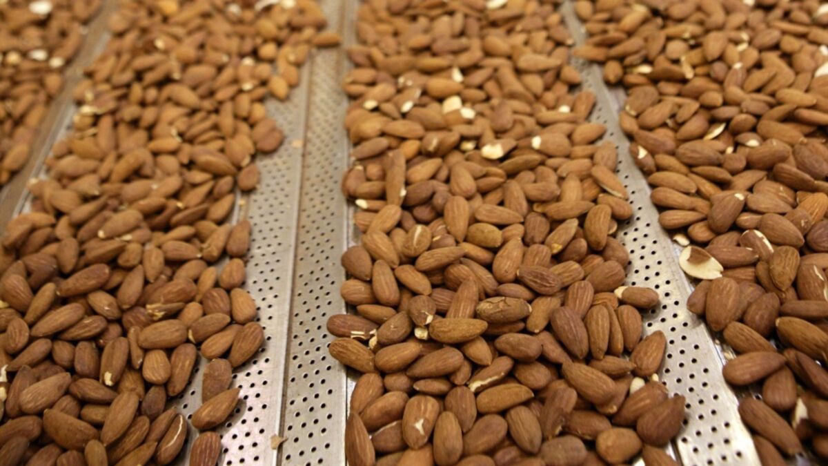 La CNMV autoriza la OPA de exclusión de Borges para que su filial de frutos secos Bain deje de cotizar