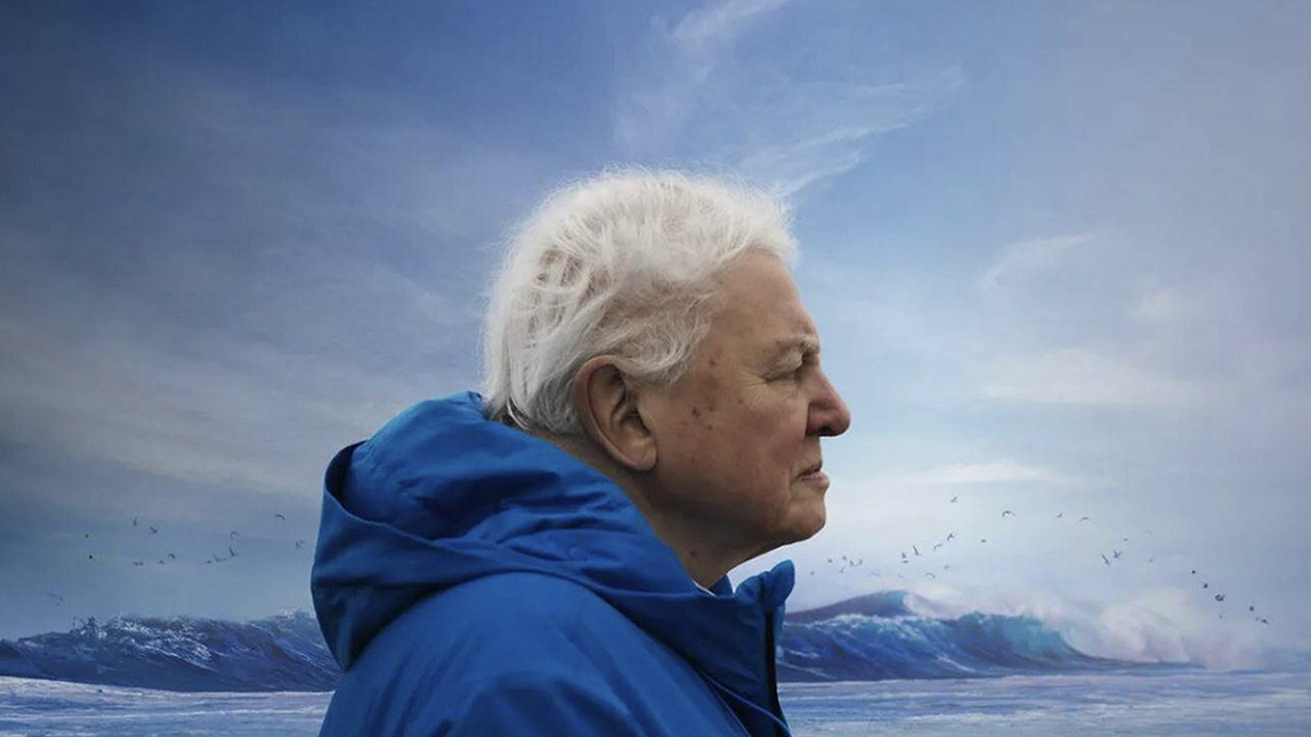 ‘Océano’: el nuevo documental y urgente llamada de David Attenborough a la necesidad de proteger los océanos