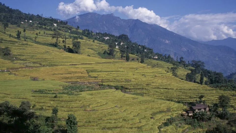 Cómo Sikkim (India) se convirtió en el primer Estado totalmente ecológico del mundo