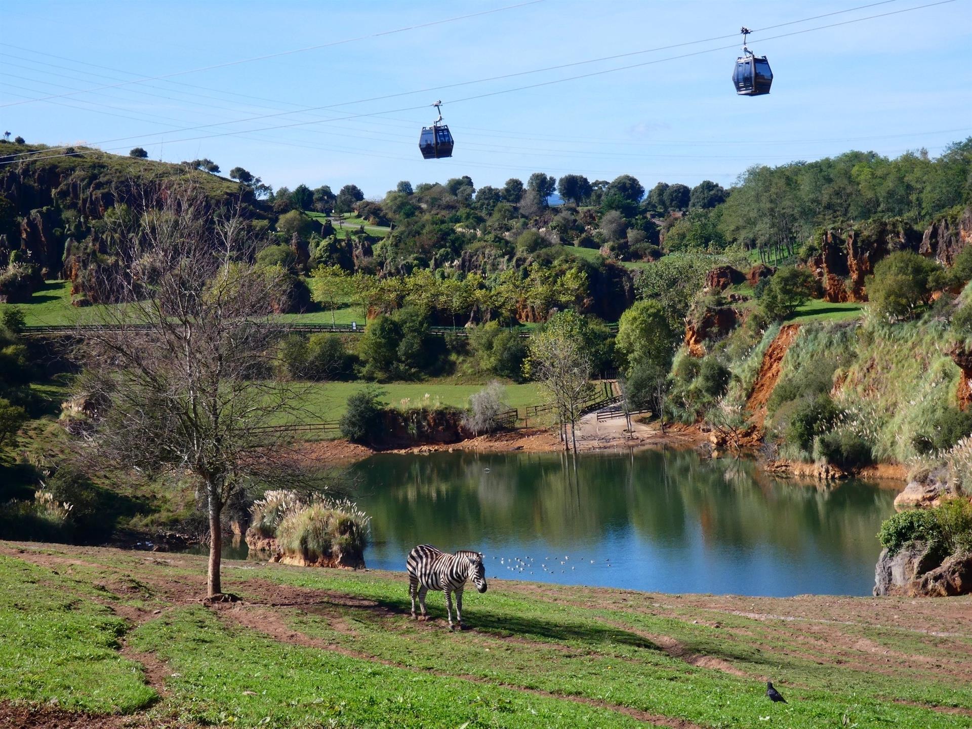 El Parque de Cabárceno, el Teleférico de Fuente Dé y El Soplao reciben 33.279 visitantes en el puente de mayo