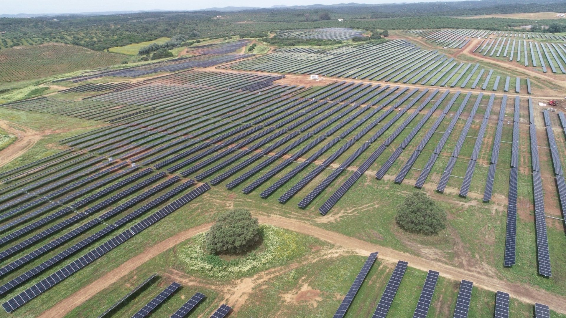 Zelestra cierra financiación verde por 146,6 millones para una cartera fotovoltaica de 237 MW en España
