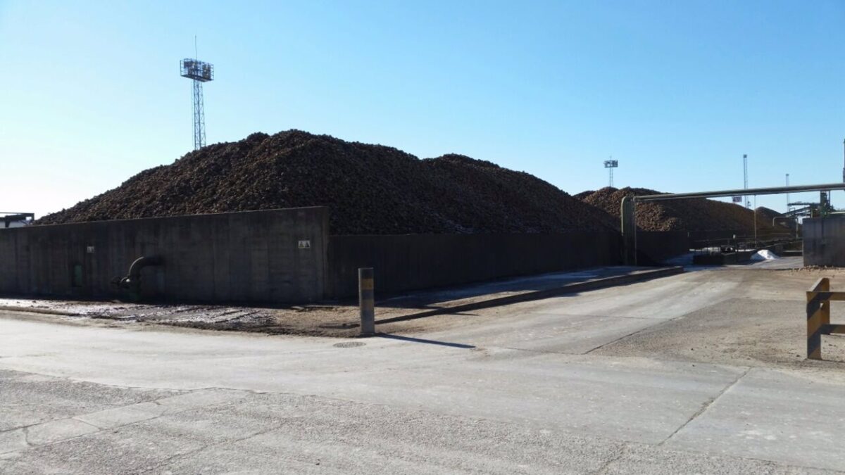 Azucarera anuncia un ERE para 251 empleados, el 26% de la plantilla, y ...