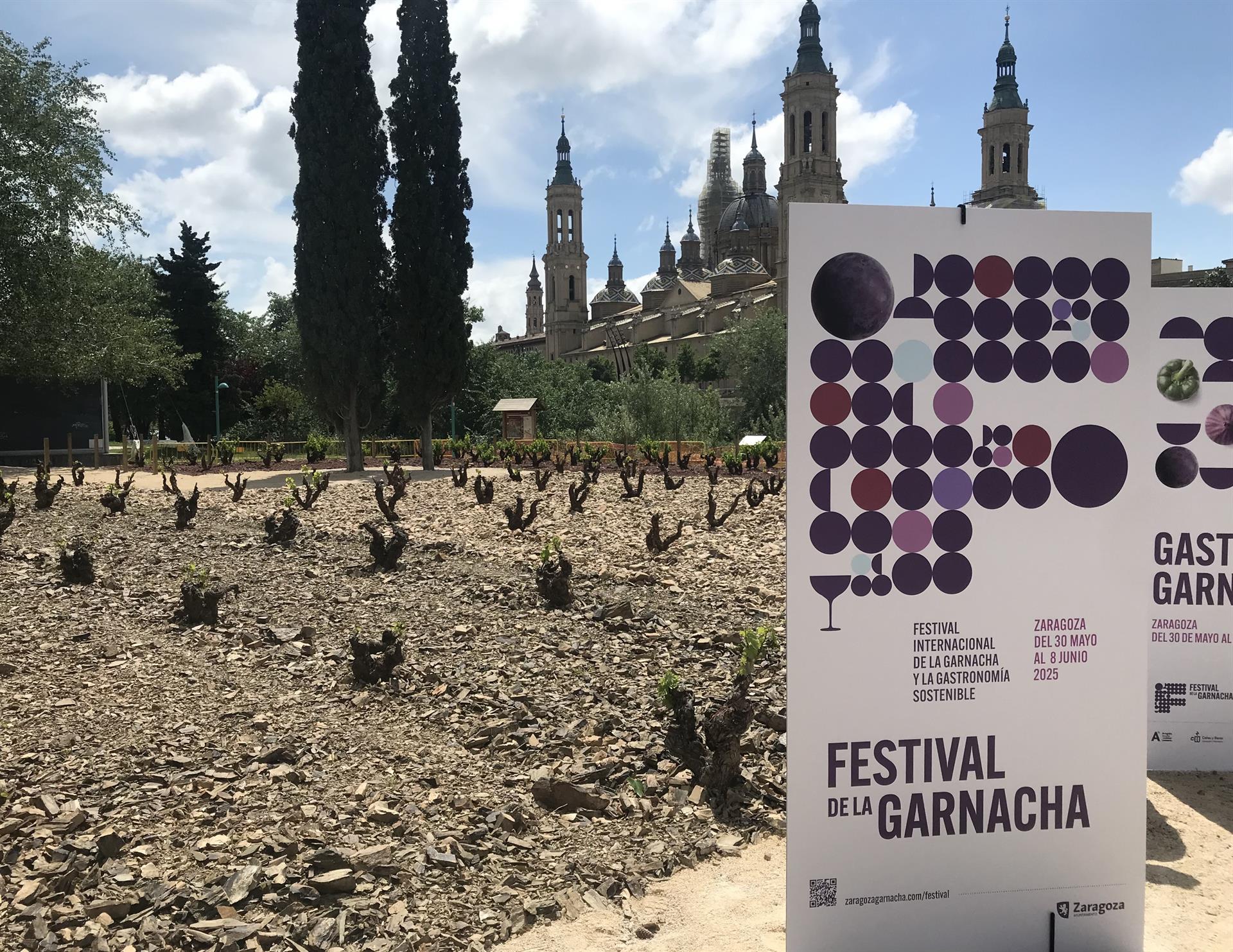 El I Festival Internacional de la Garnacha comienza este fin de semana y se extenderá hasta el 8 de junio