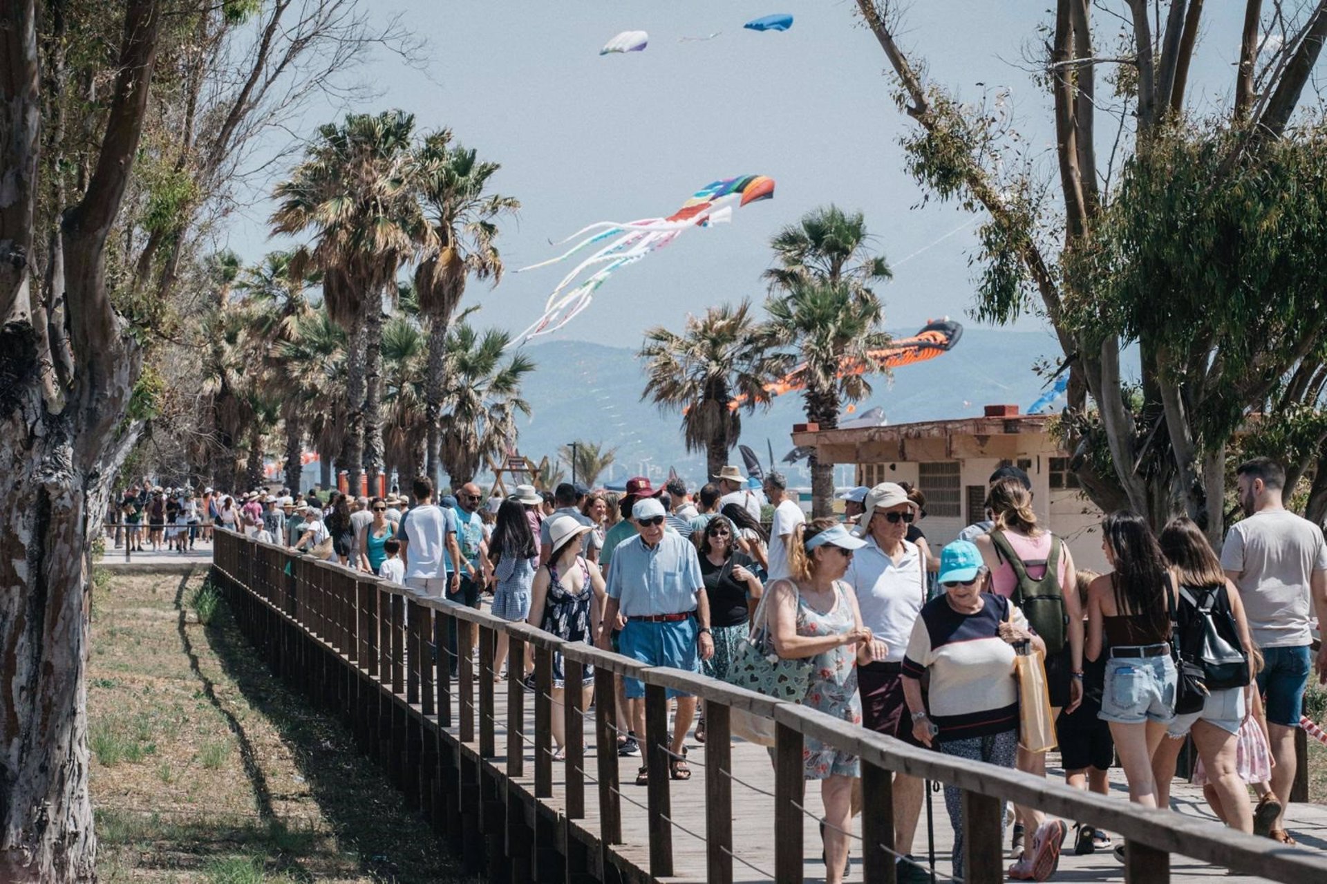 Festival del Viento de Castelló cierra la edición con un impacto económico que crece un 35% respecto a 2024
