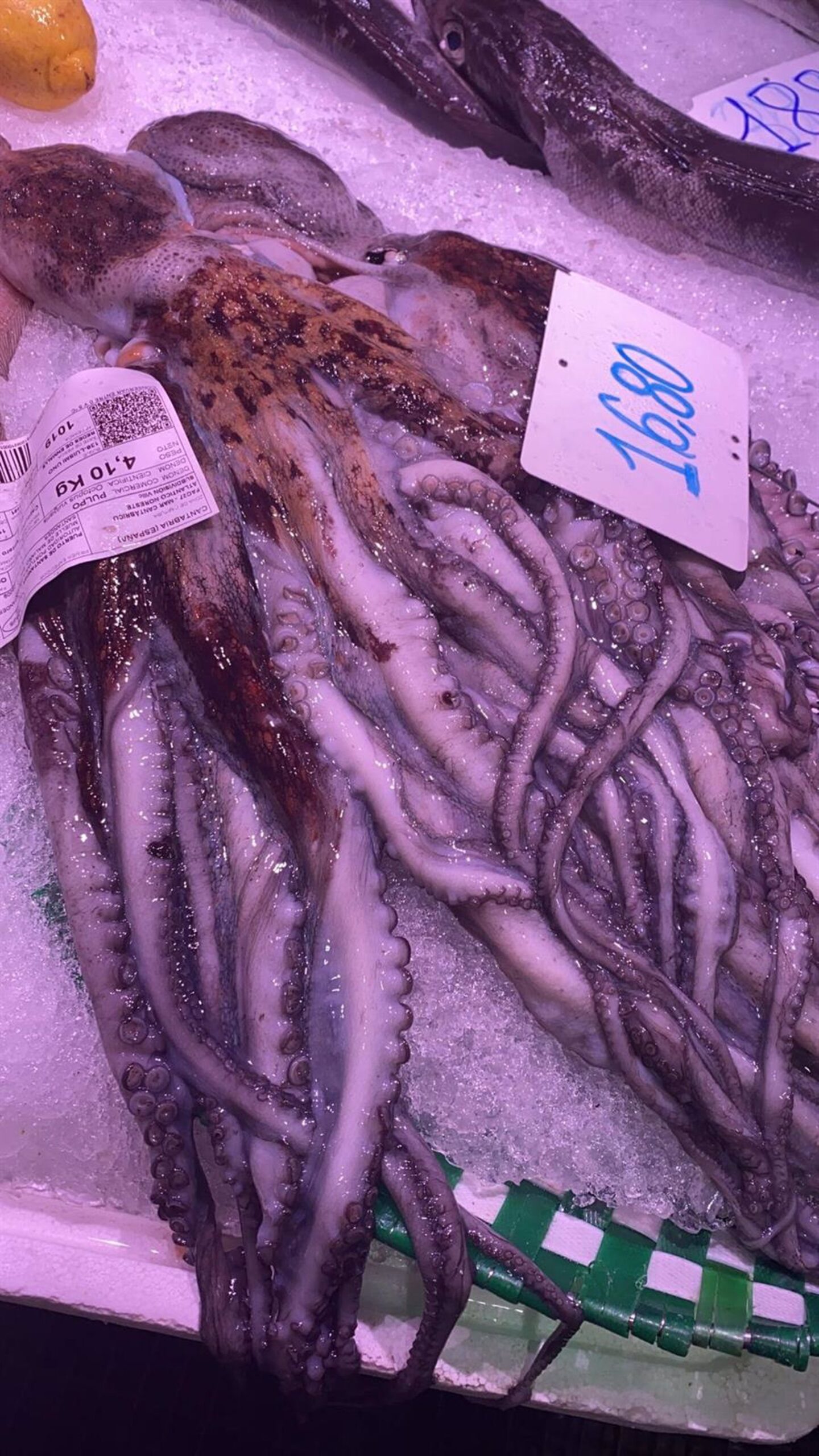 Cantabria abrirá la campaña de la pesca recreativa del pulpo el 1 de julio