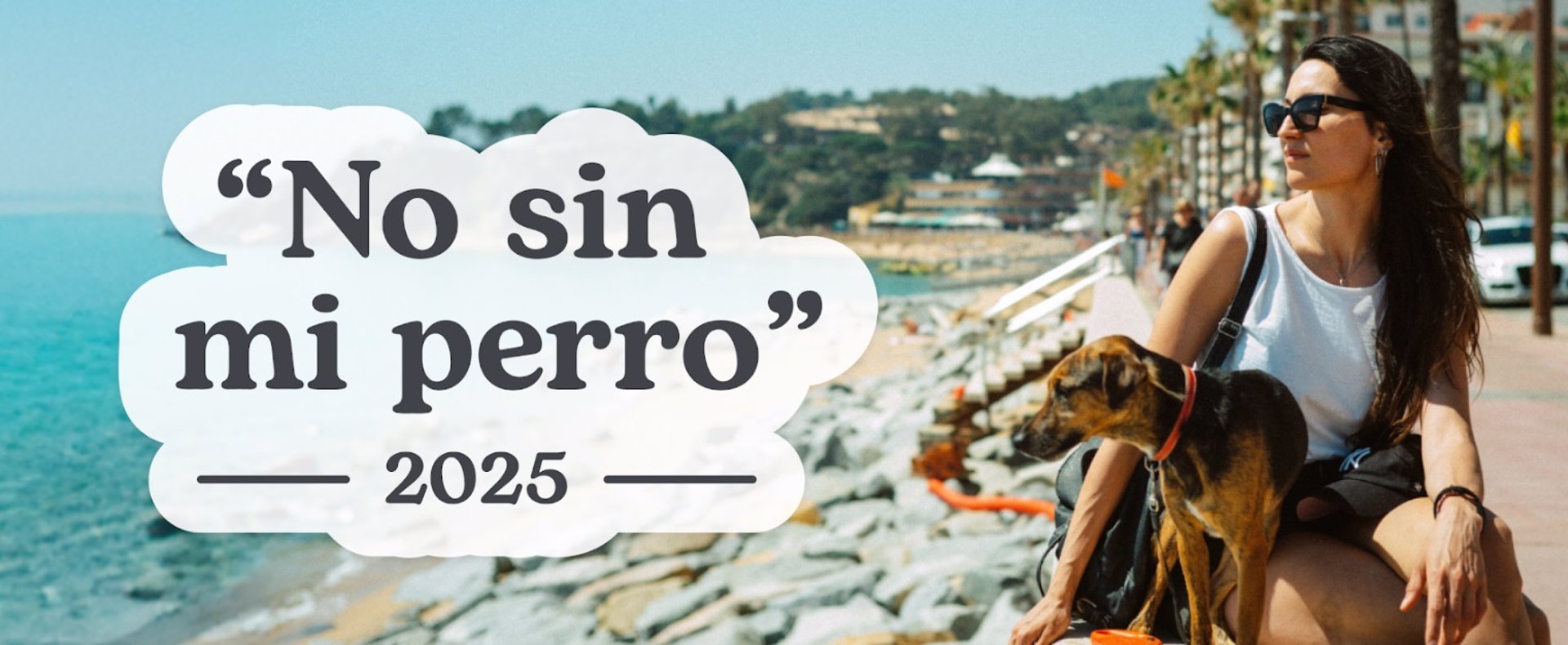 El 86% de españoles encuentra dificultades al buscar alojamiento ‘pet friendly’, según rover.com