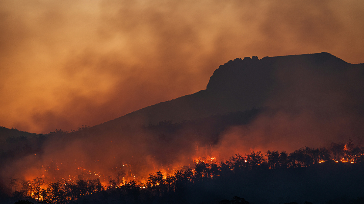 El Mediterráneo arde: 20 años de calor que están redefiniendo la economía y el riesgo en Europa
